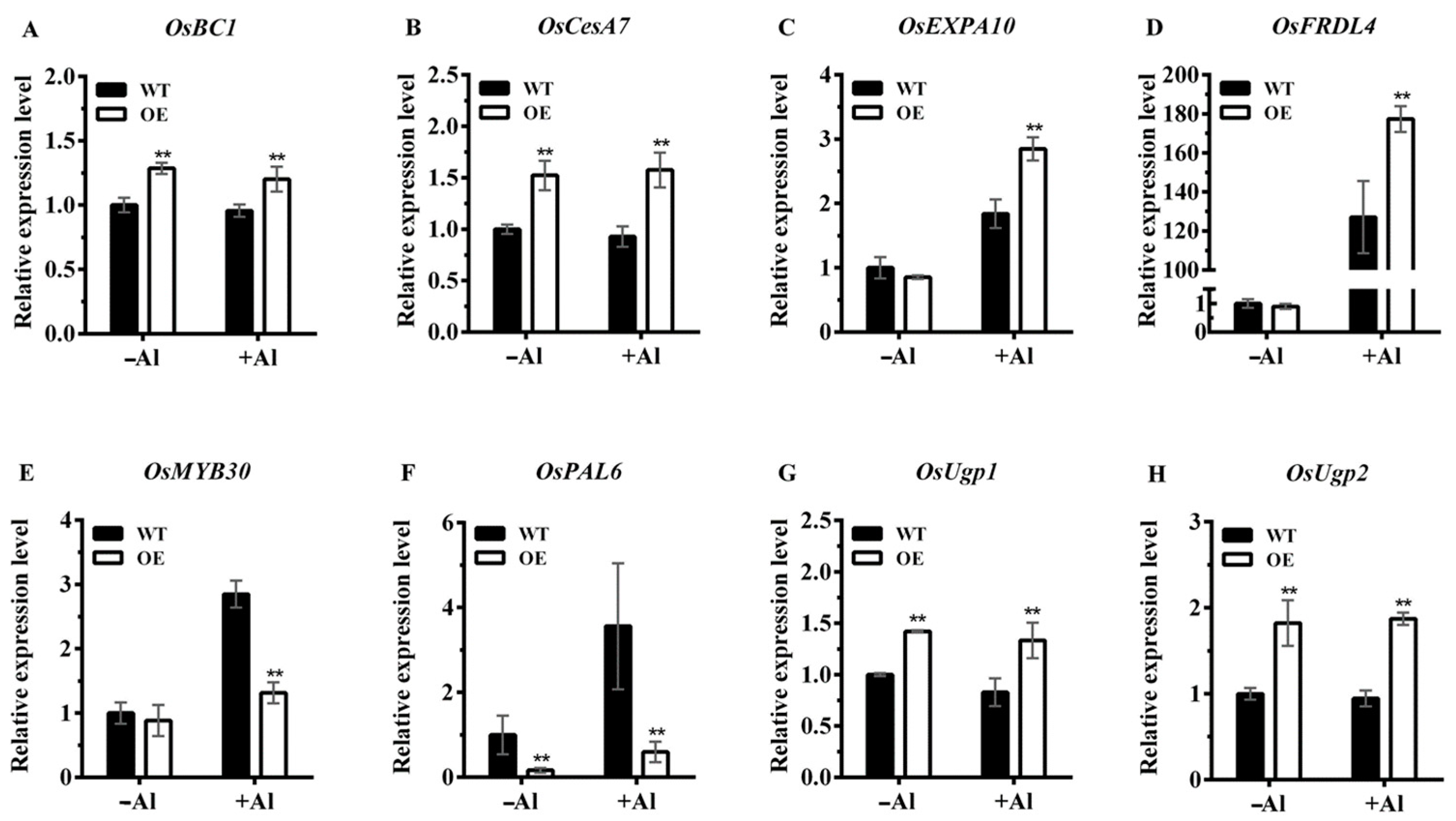 Ijms 24 17036 g009 Ijms 24 17036 g009