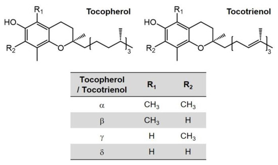 Vitamin A, D, E, and K as Matrix Metalloproteinase-2/9 Vitamin A, D, E, and K as Matrix Metalloproteinase-2/9