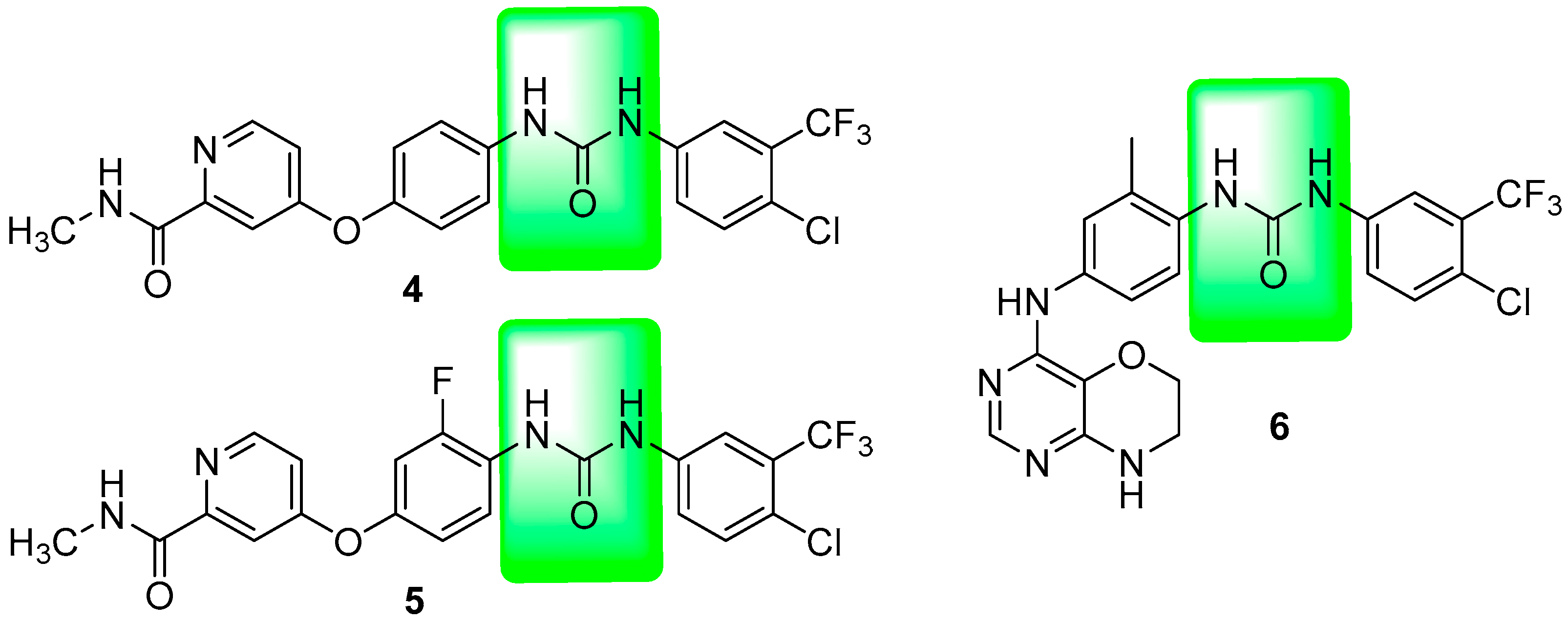 Ijms 24 17041 g003 Ijms 24 17041 g003