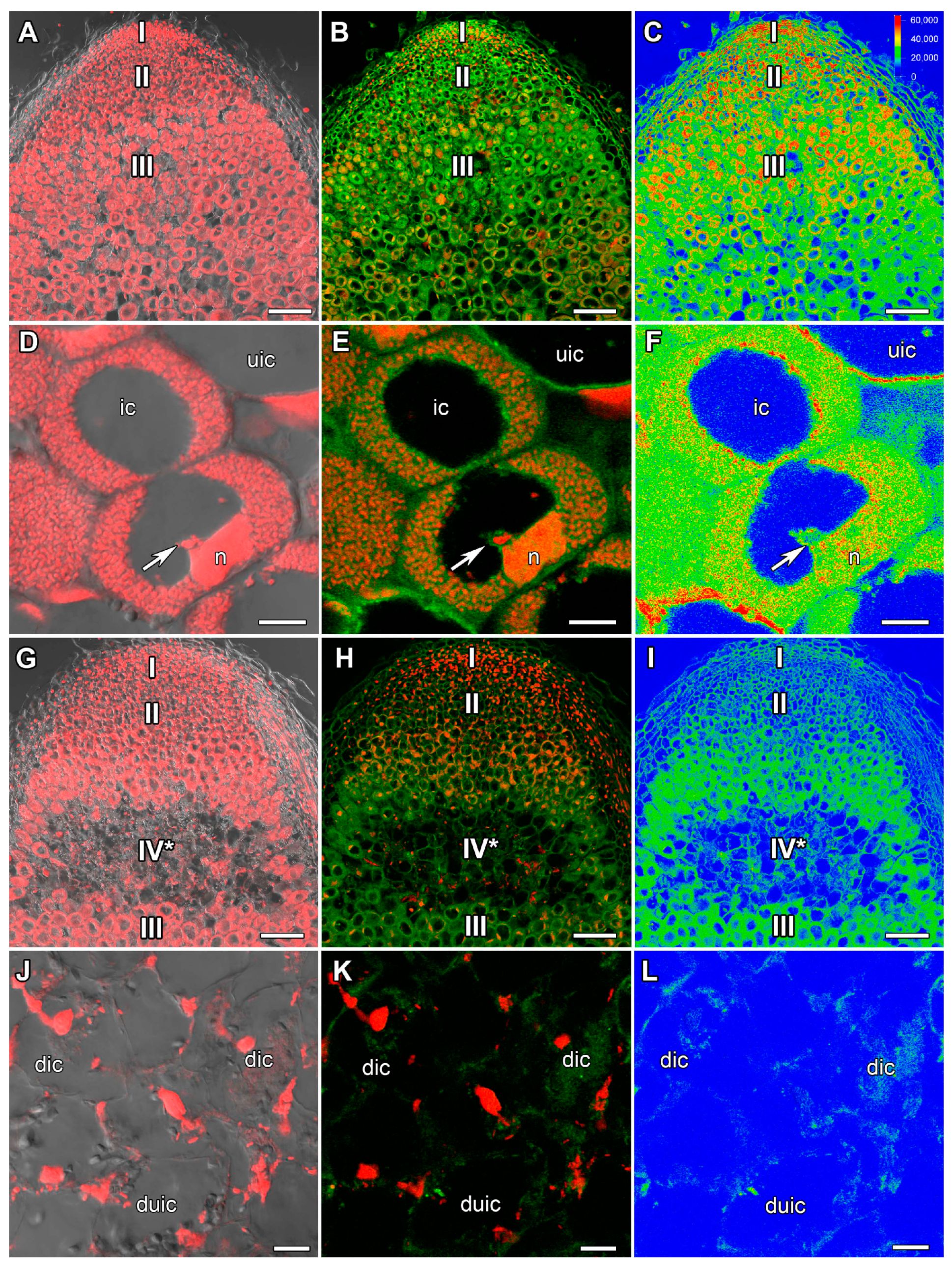 Ijms 24 17062 g002 Ijms 24 17062 g002