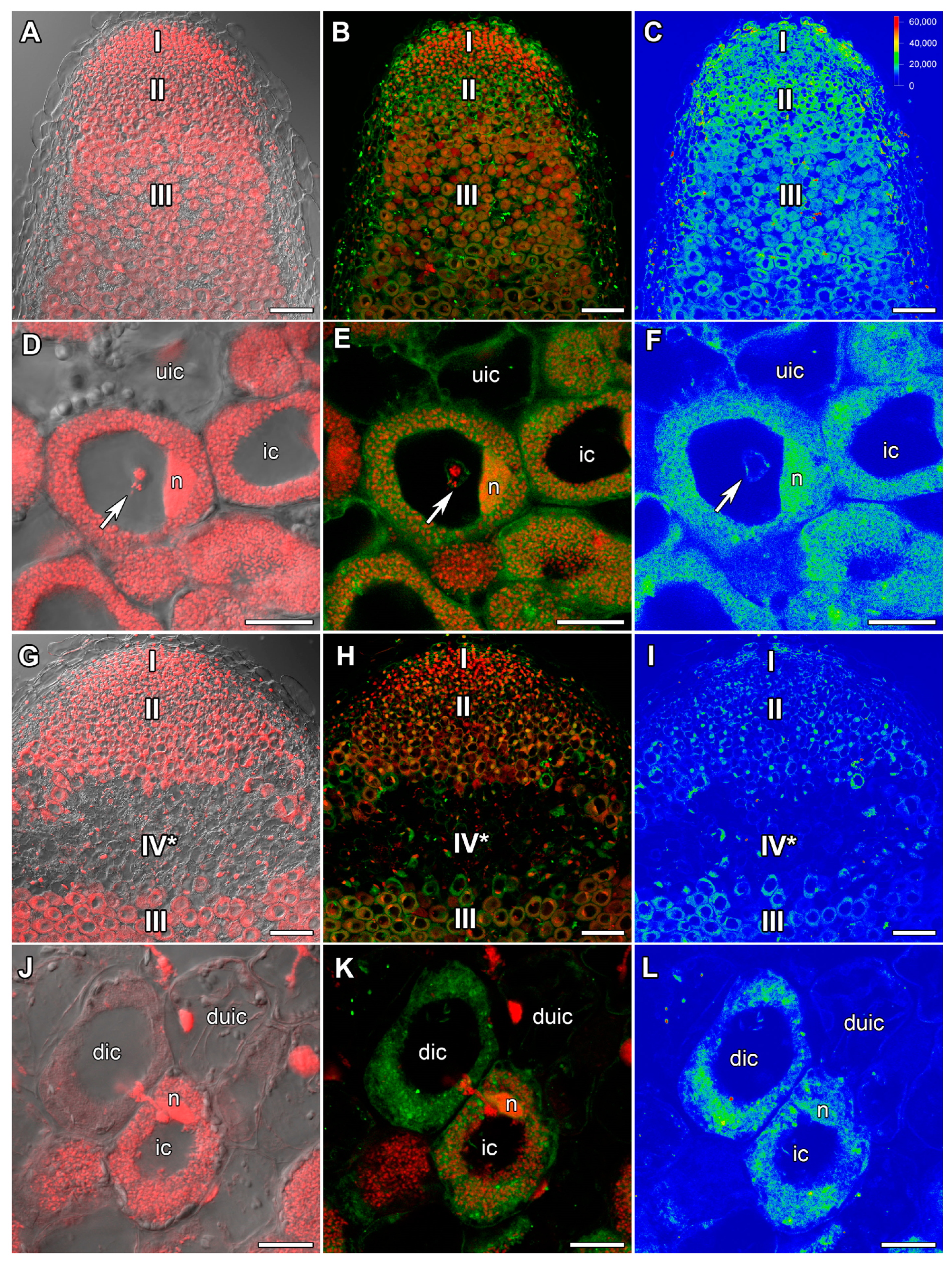Ijms 24 17062 g006 Ijms 24 17062 g006