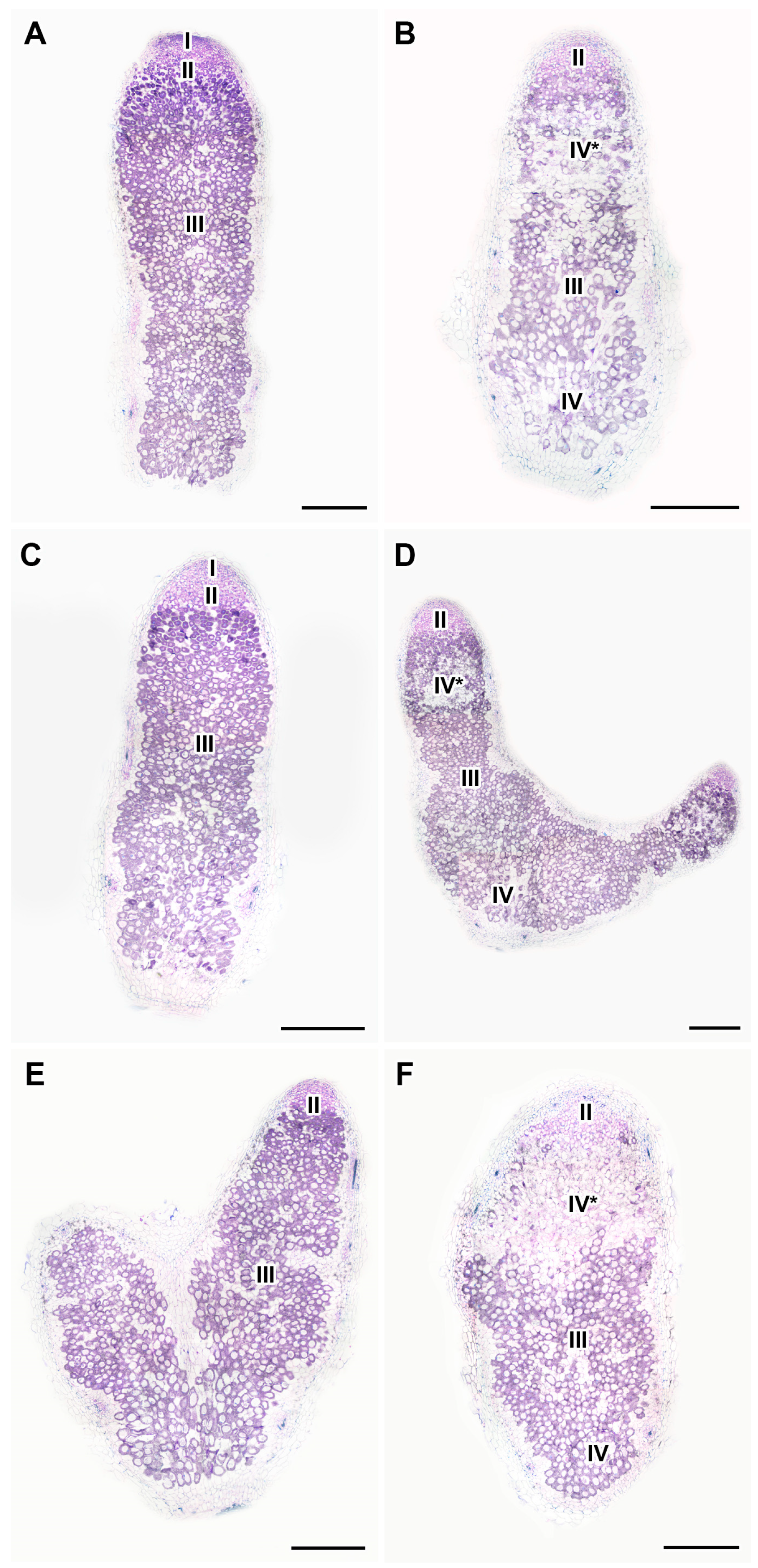 Ijms 24 17062 g008 Ijms 24 17062 g008