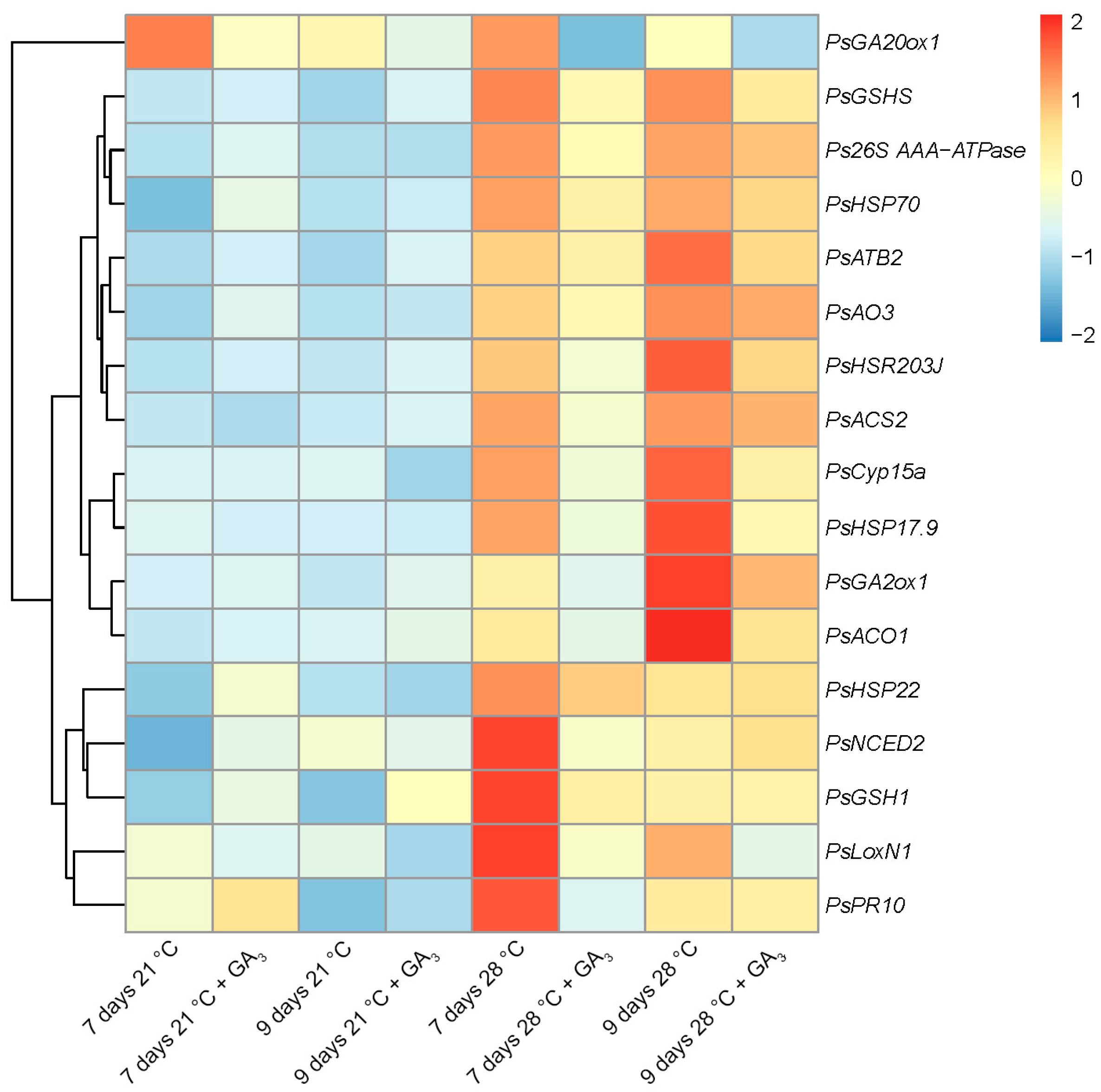 Ijms 24 17062 g009 Ijms 24 17062 g009