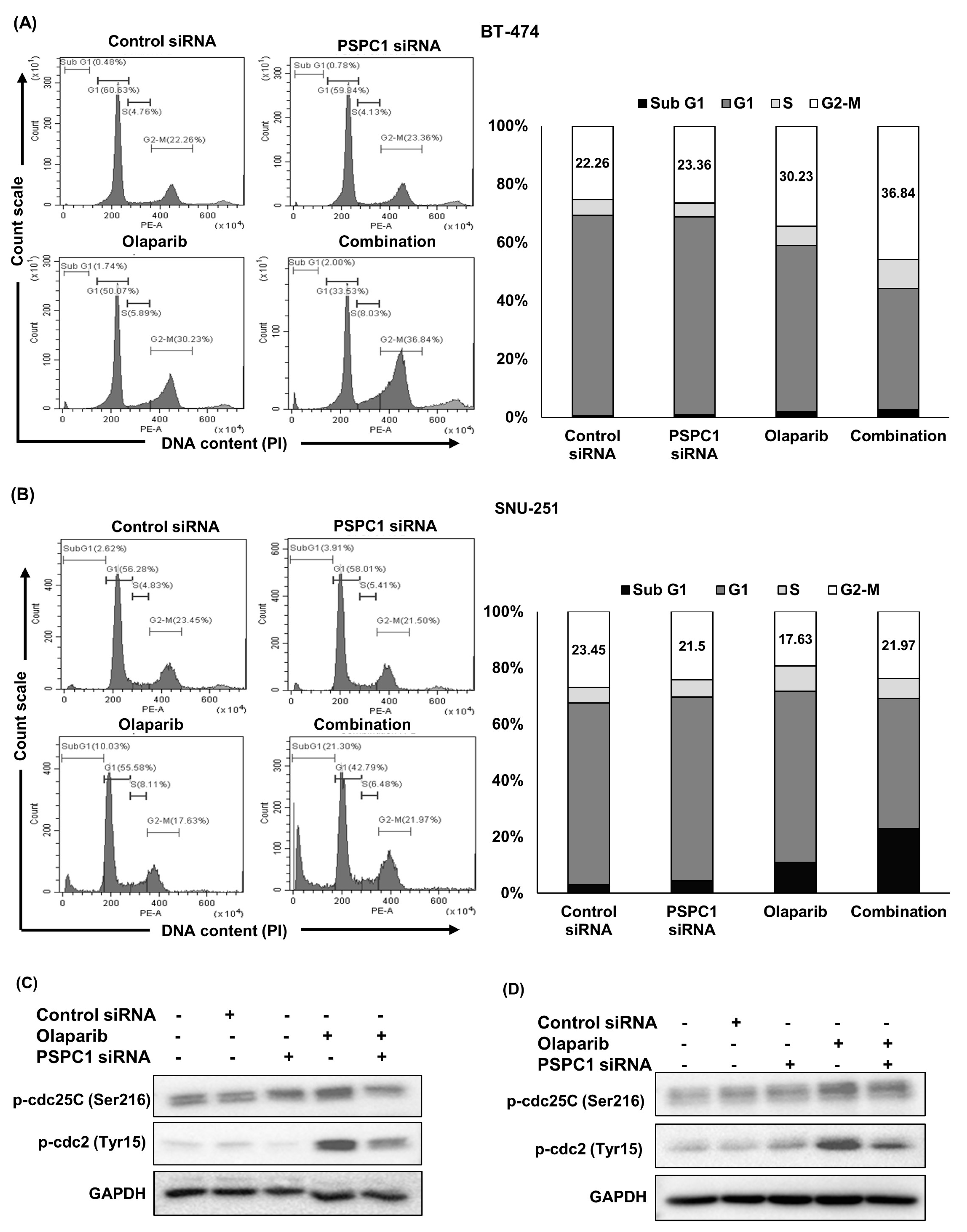 Ijms 24 17086 g003a Ijms 24 17086 g003a