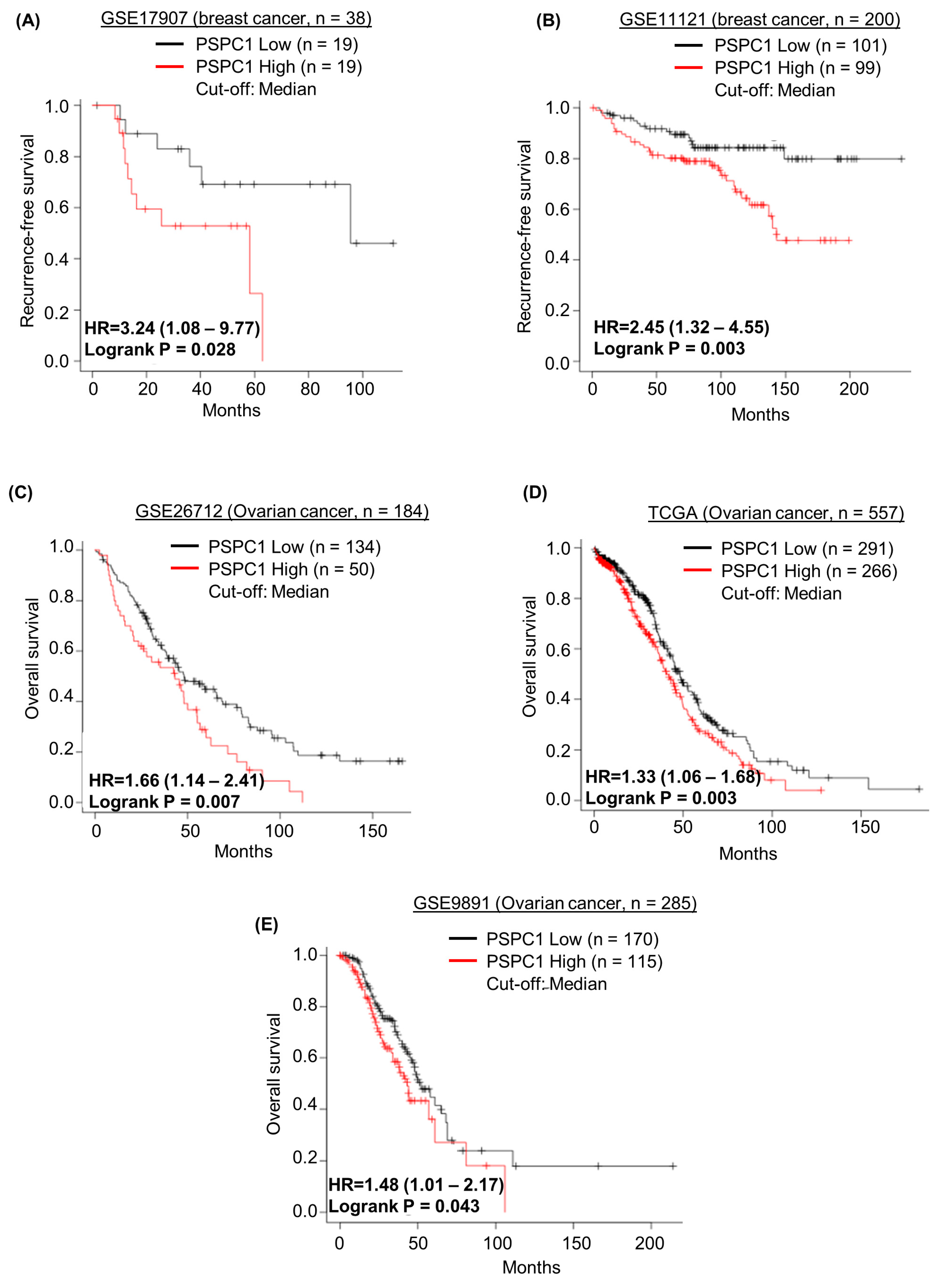 Ijms 24 17086 g005 Ijms 24 17086 g005