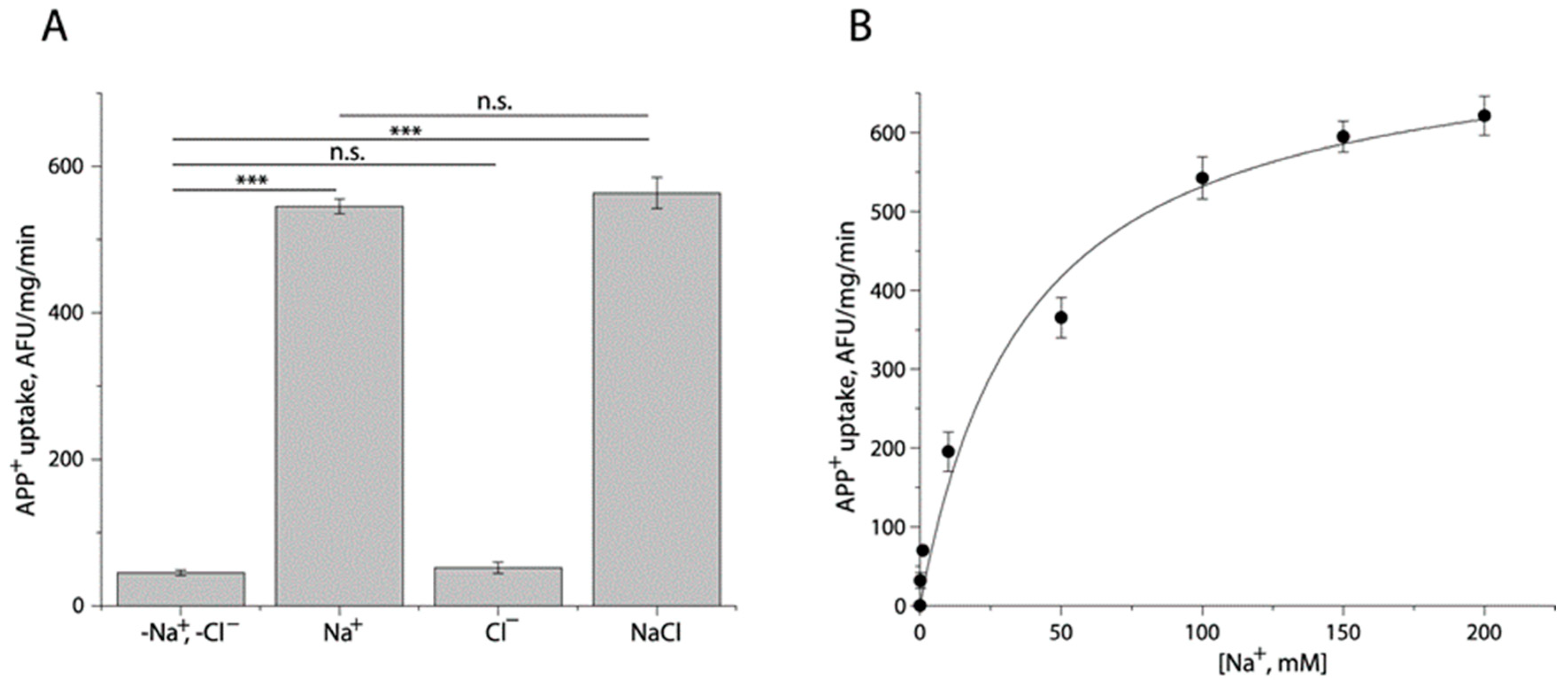 Ijms 24 17112 g002 Ijms 24 17112 g002