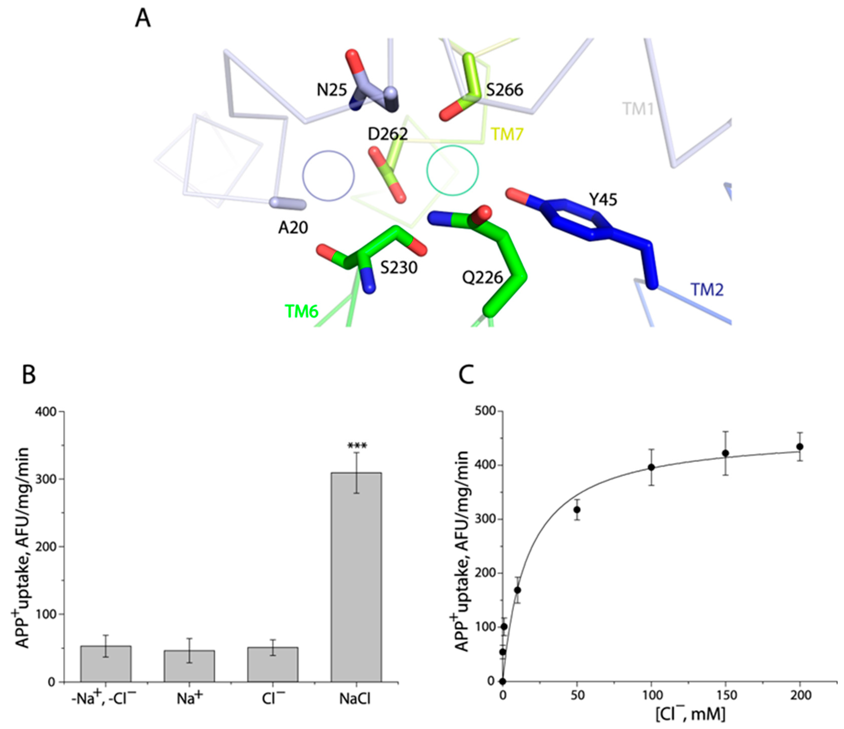 Ijms 24 17112 g003 Ijms 24 17112 g003