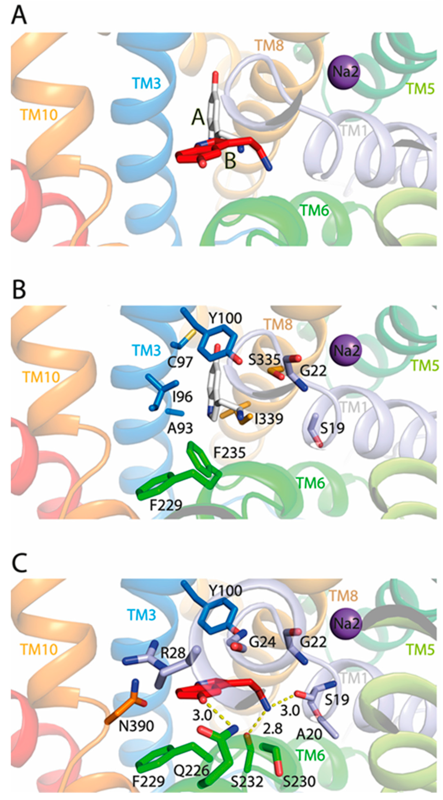 Ijms 24 17112 g005 Ijms 24 17112 g005