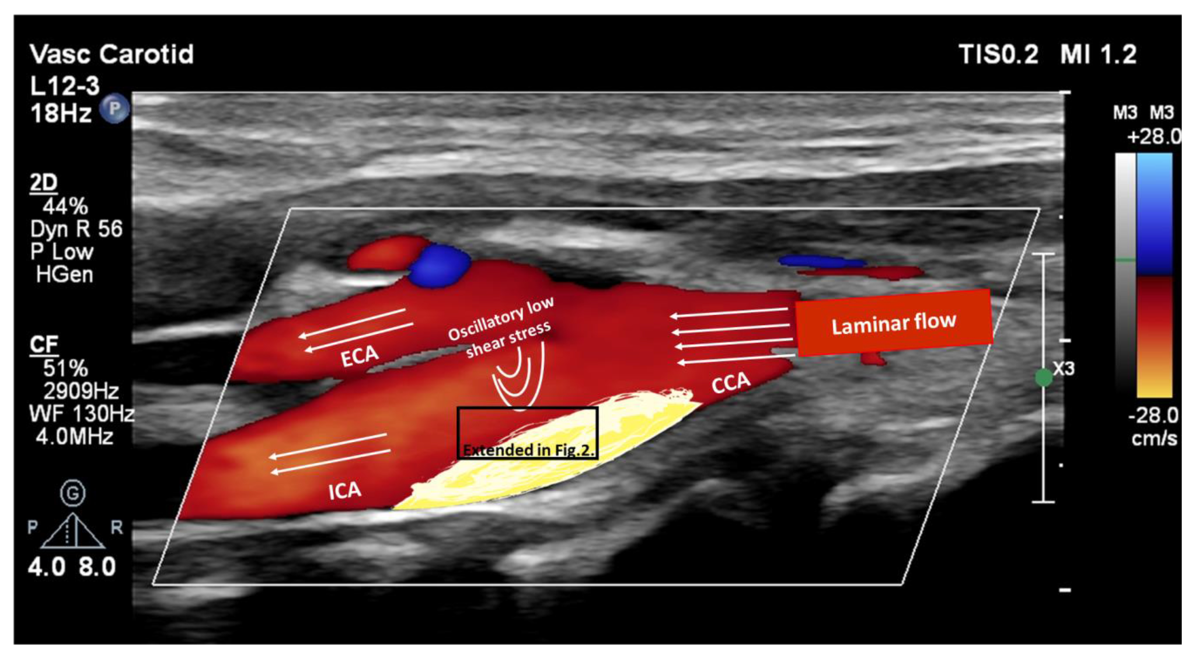 Ijms 24 17129 g001 Ijms 24 17129 g001