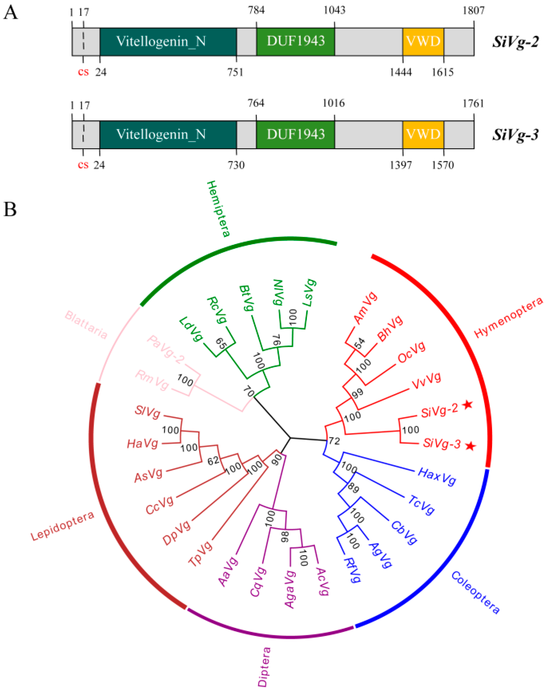優待特典一覧 of Analyses Comparative Reproductive Reveal Types Caste ジャケット・アウター