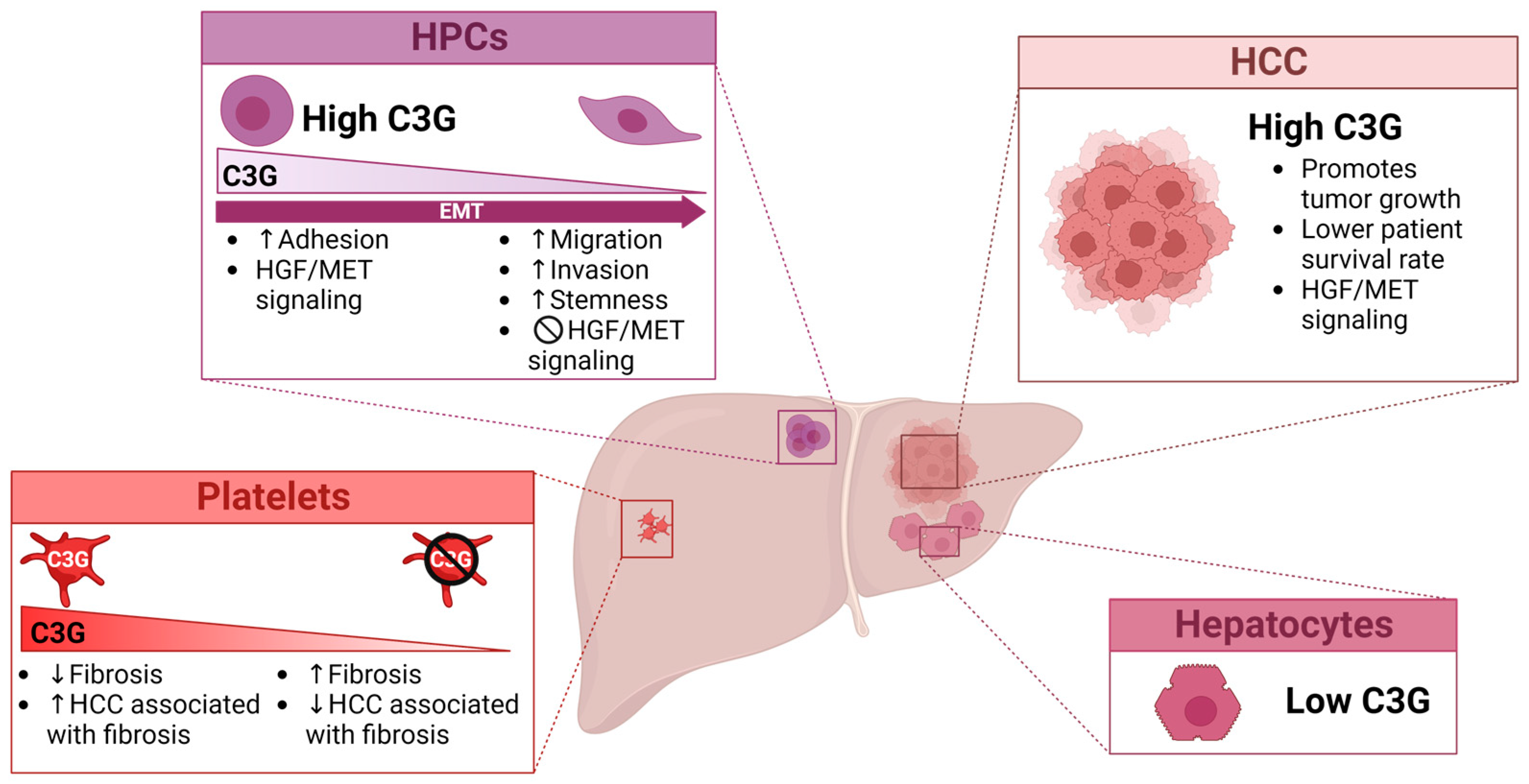 Ijms 24 17152 g002 Ijms 24 17152 g002