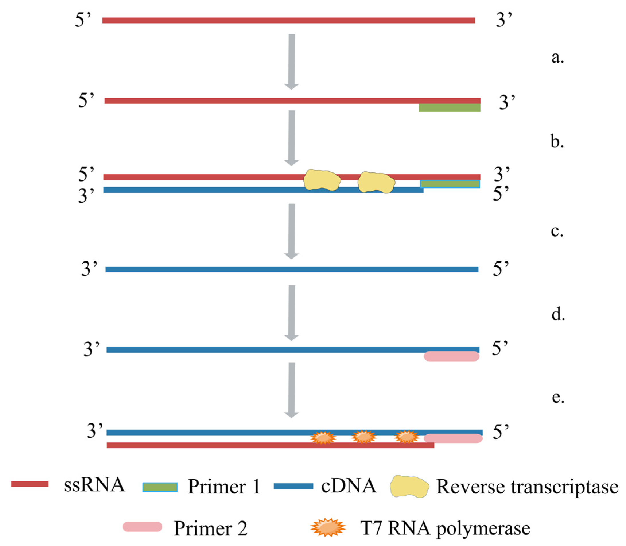 Ijms 24 17157 g005 Ijms 24 17157 g005