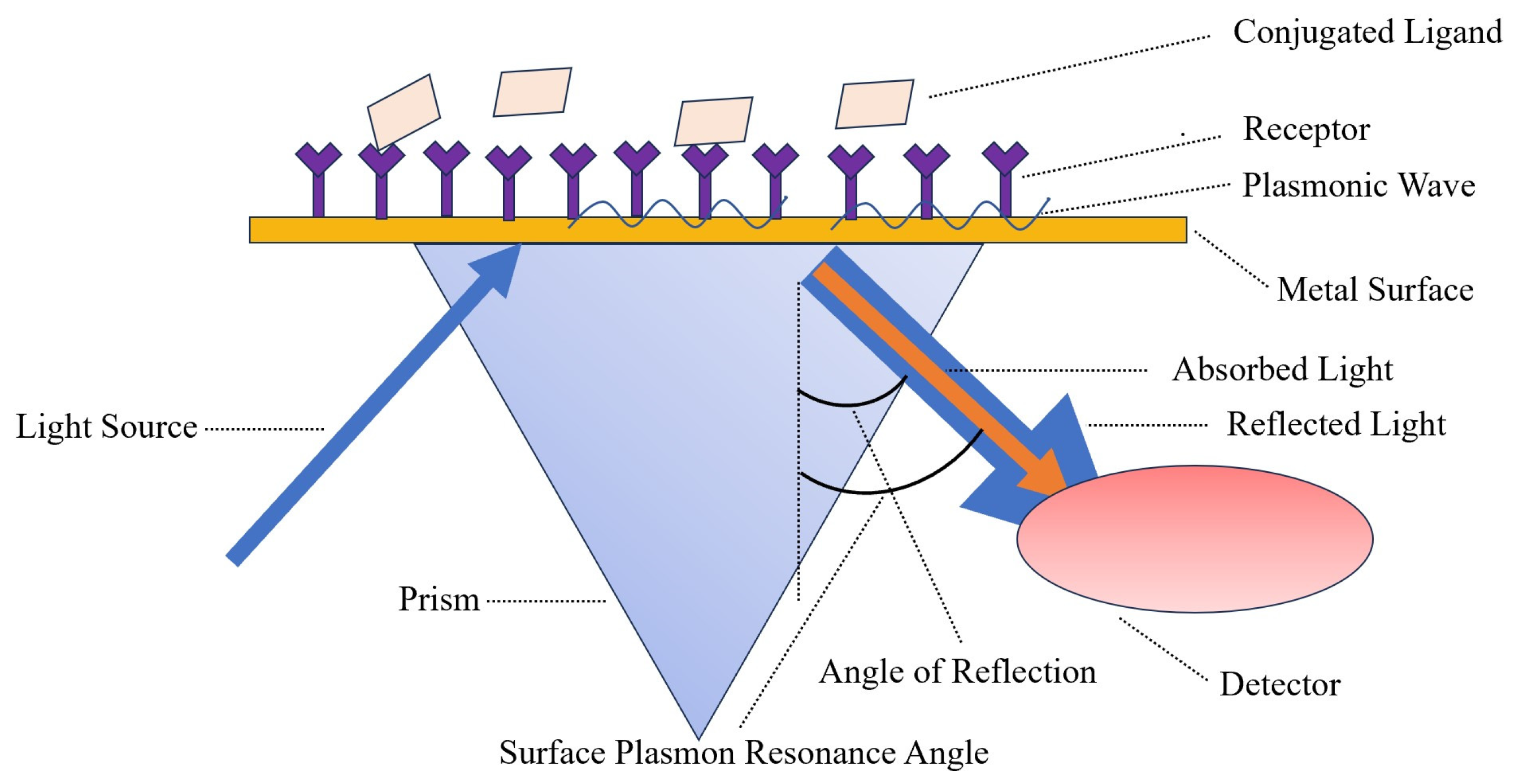 Ijms 24 17157 g006 Ijms 24 17157 g006