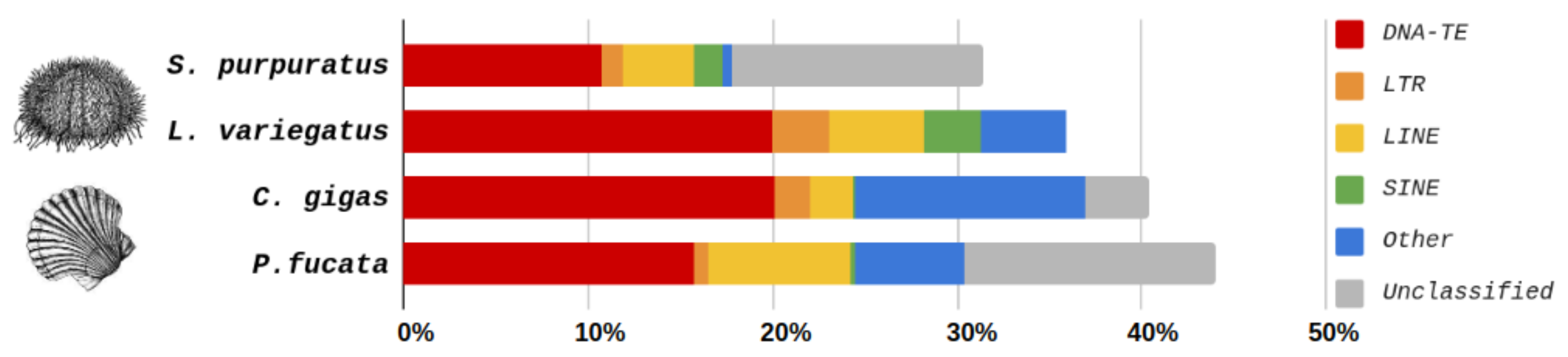 Ijms 24 17163 g002 Ijms 24 17163 g002