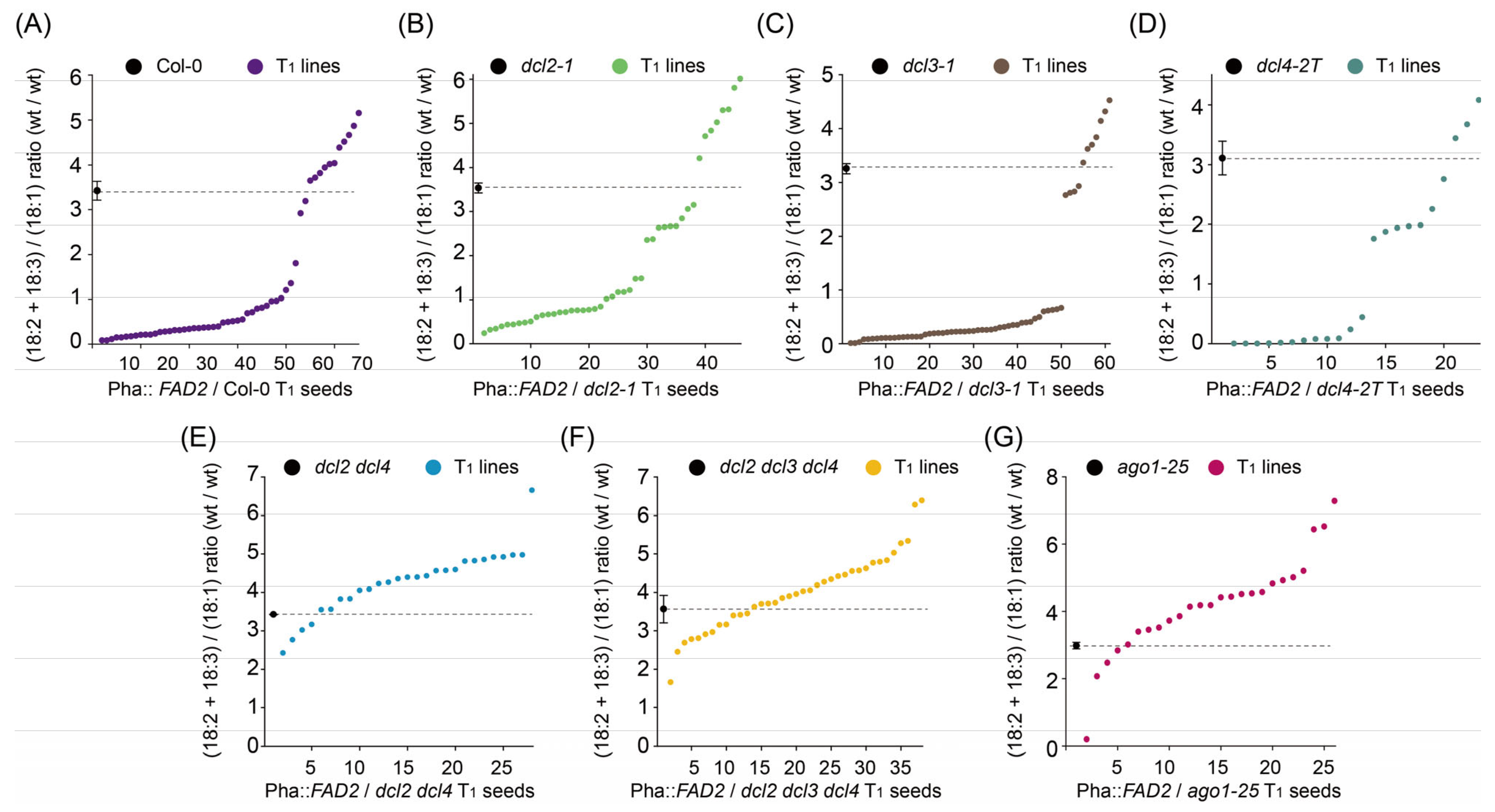 Ijms 24 17165 g001 Ijms 24 17165 g001