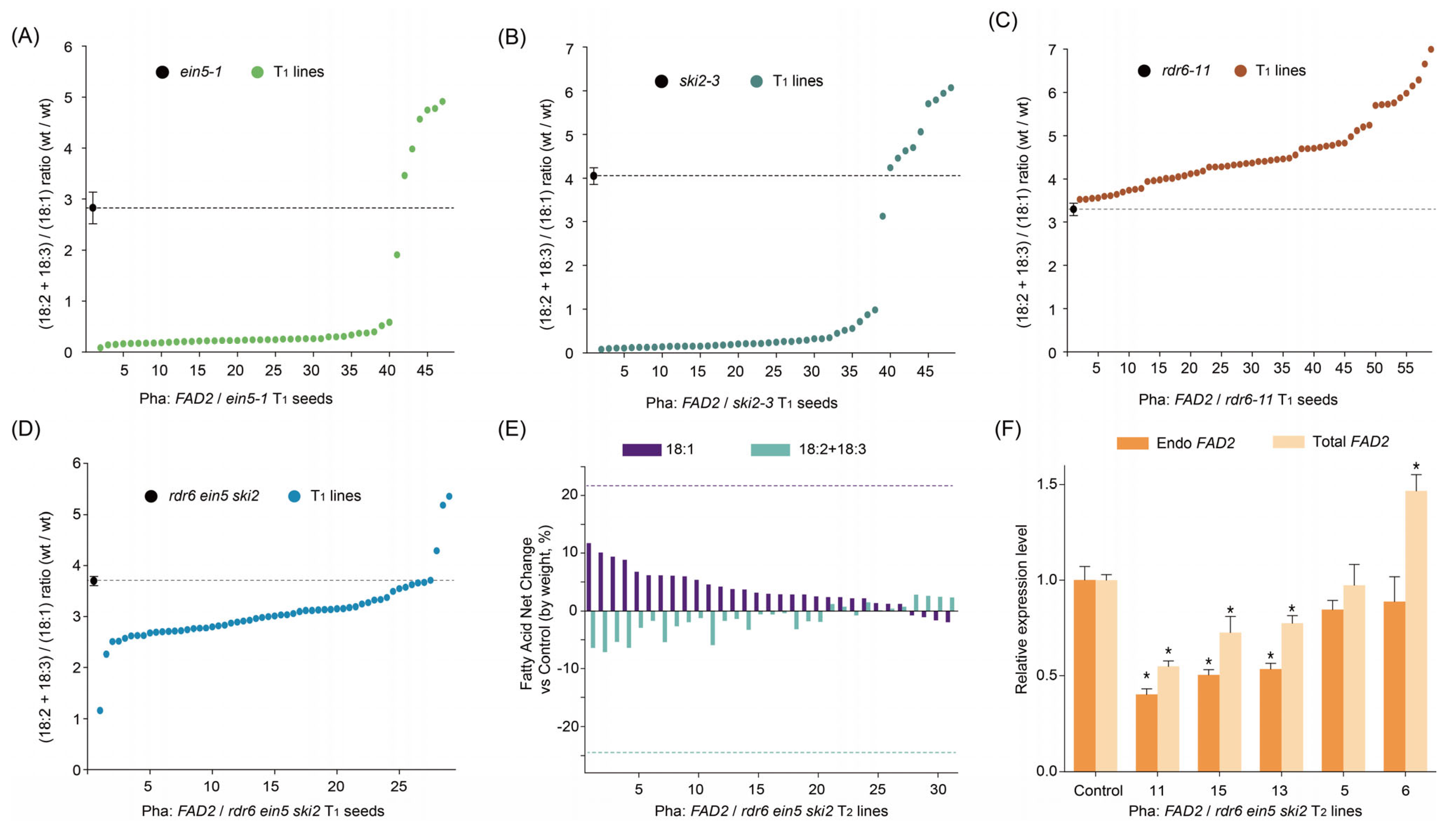 Ijms 24 17165 g002 Ijms 24 17165 g002