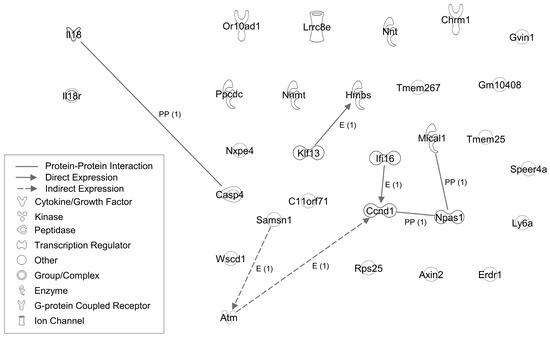 Molecular Mechanisms of IL18 in Disease