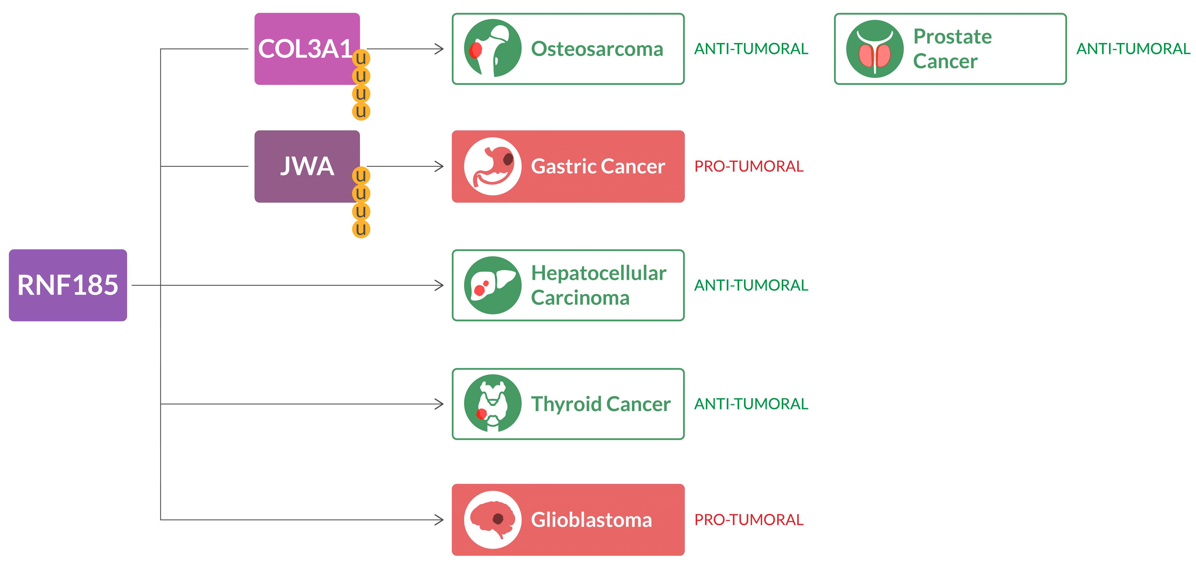 Ijms 24 17176 g002 Ijms 24 17176 g002