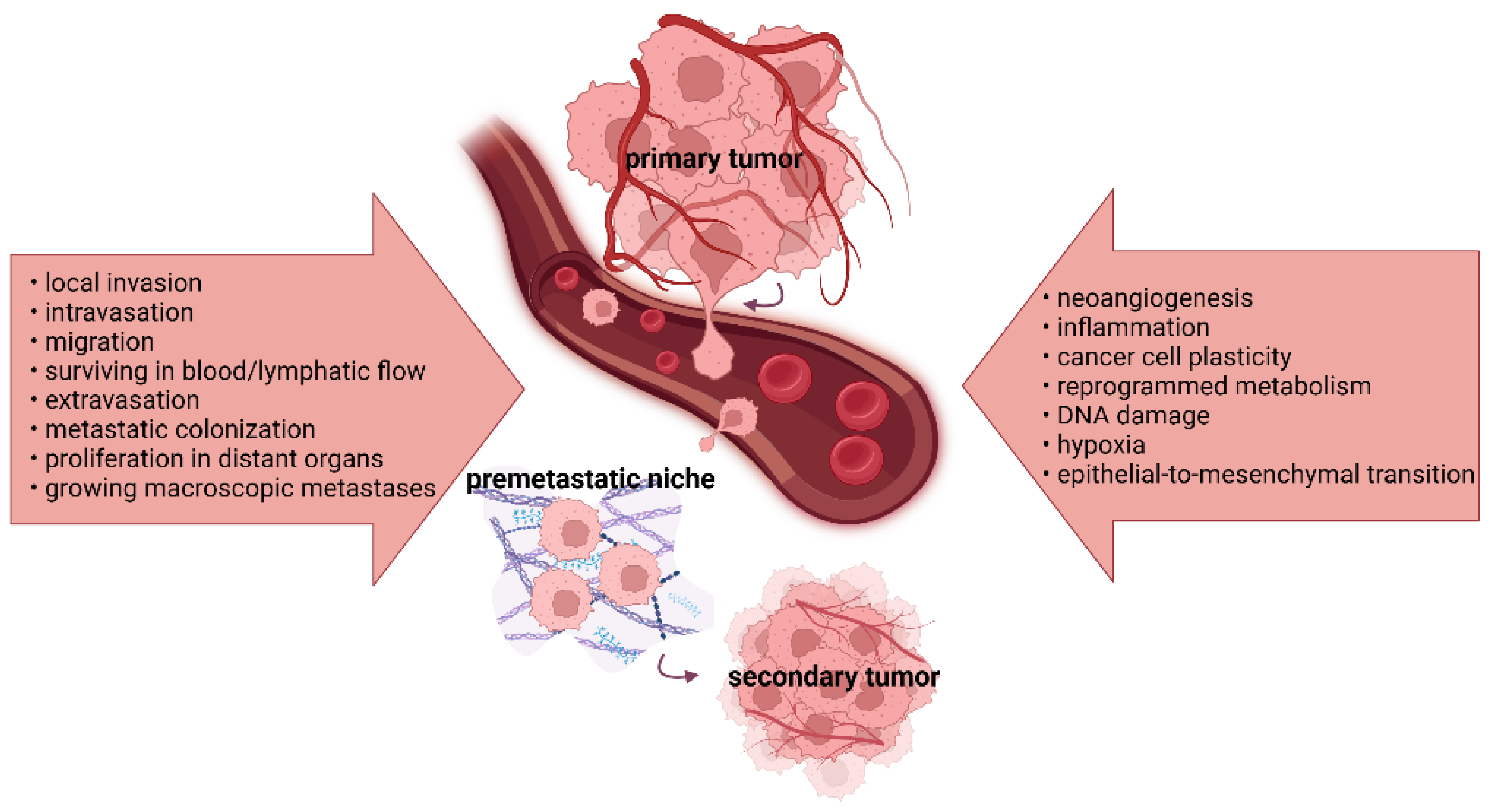 Ijms 24 17199 g001 Ijms 24 17199 g001