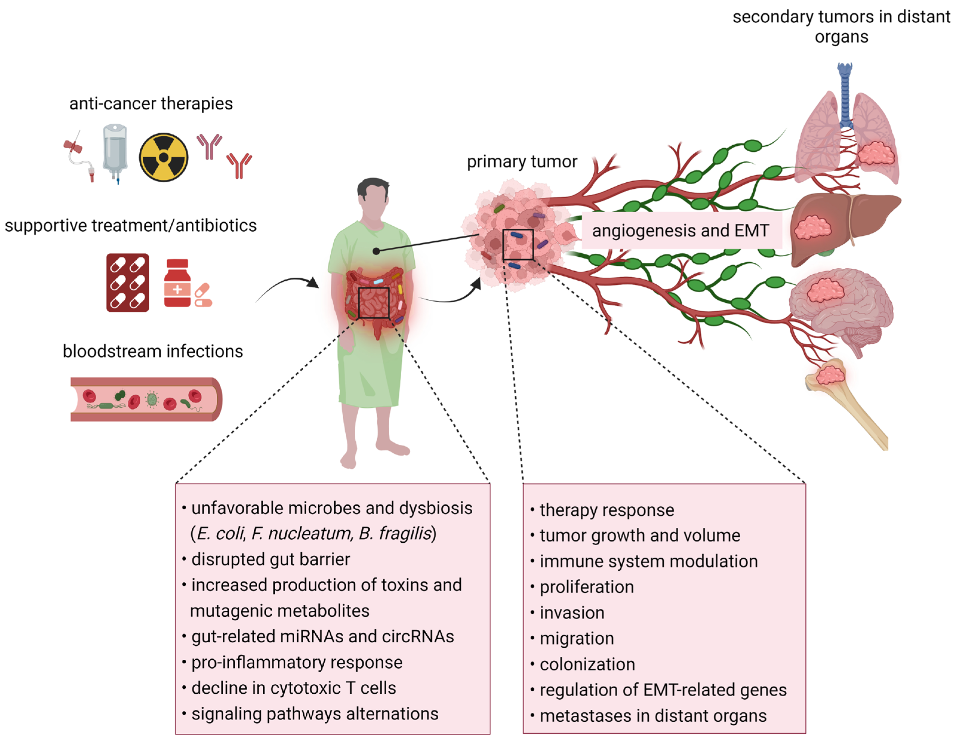Ijms 24 17199 g002 Ijms 24 17199 g002