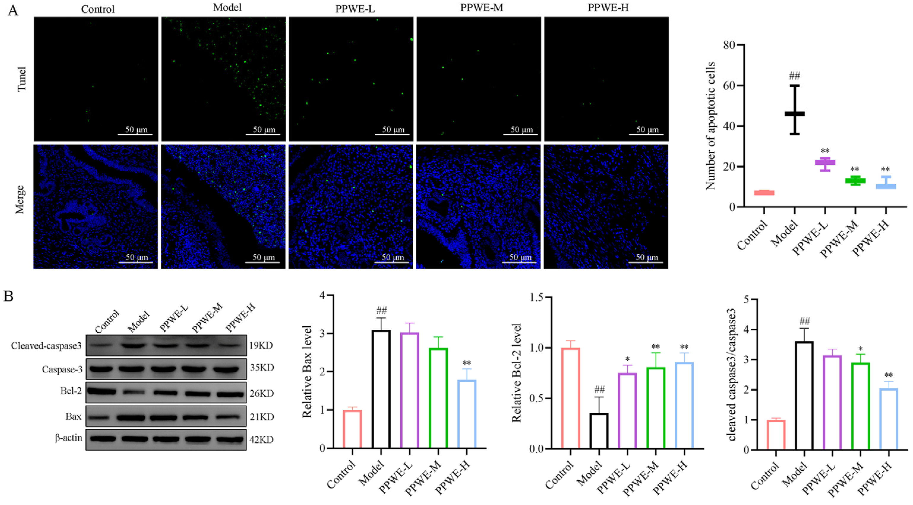 Ijms 24 17245 g007