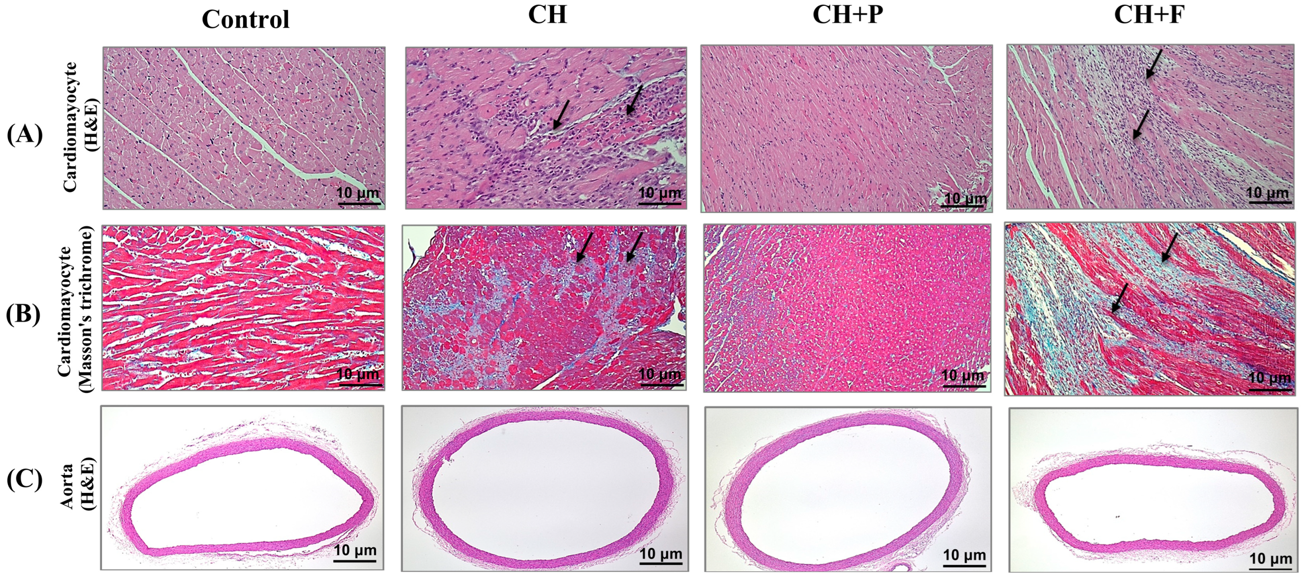 Ijms 24 17270 g002 Ijms 24 17270 g002