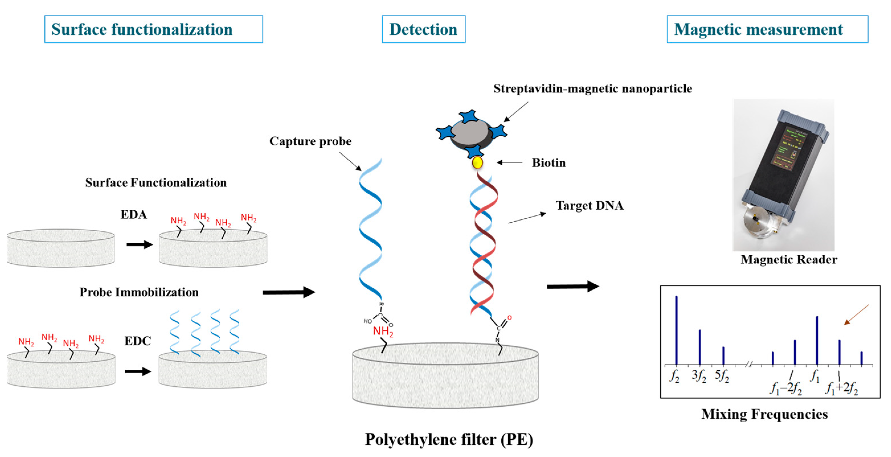 Ijms 24 17272 sch001