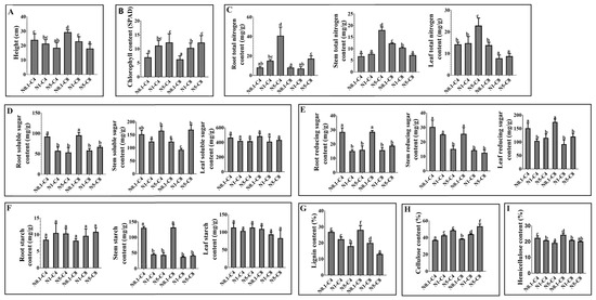 X/X JAPAN関連 X JAPANがいかに偉大なバンドか、その巨大な存在感をひたすら