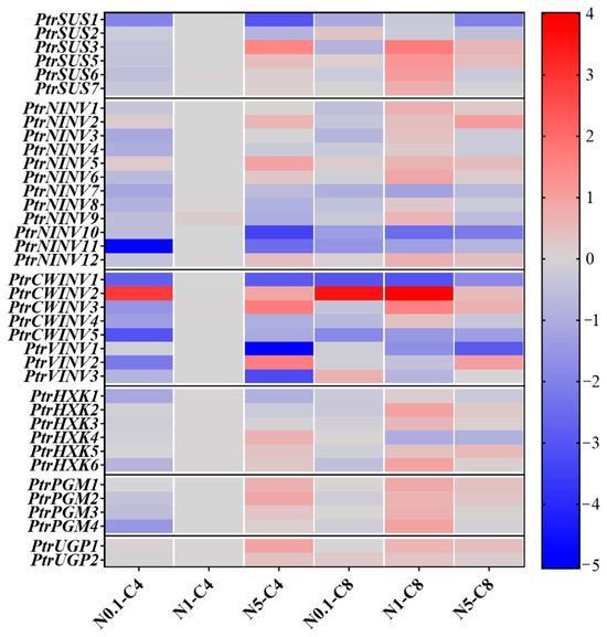 na Structure and Expression Analysis of PtrSUS, PtrINV, PtrHXK