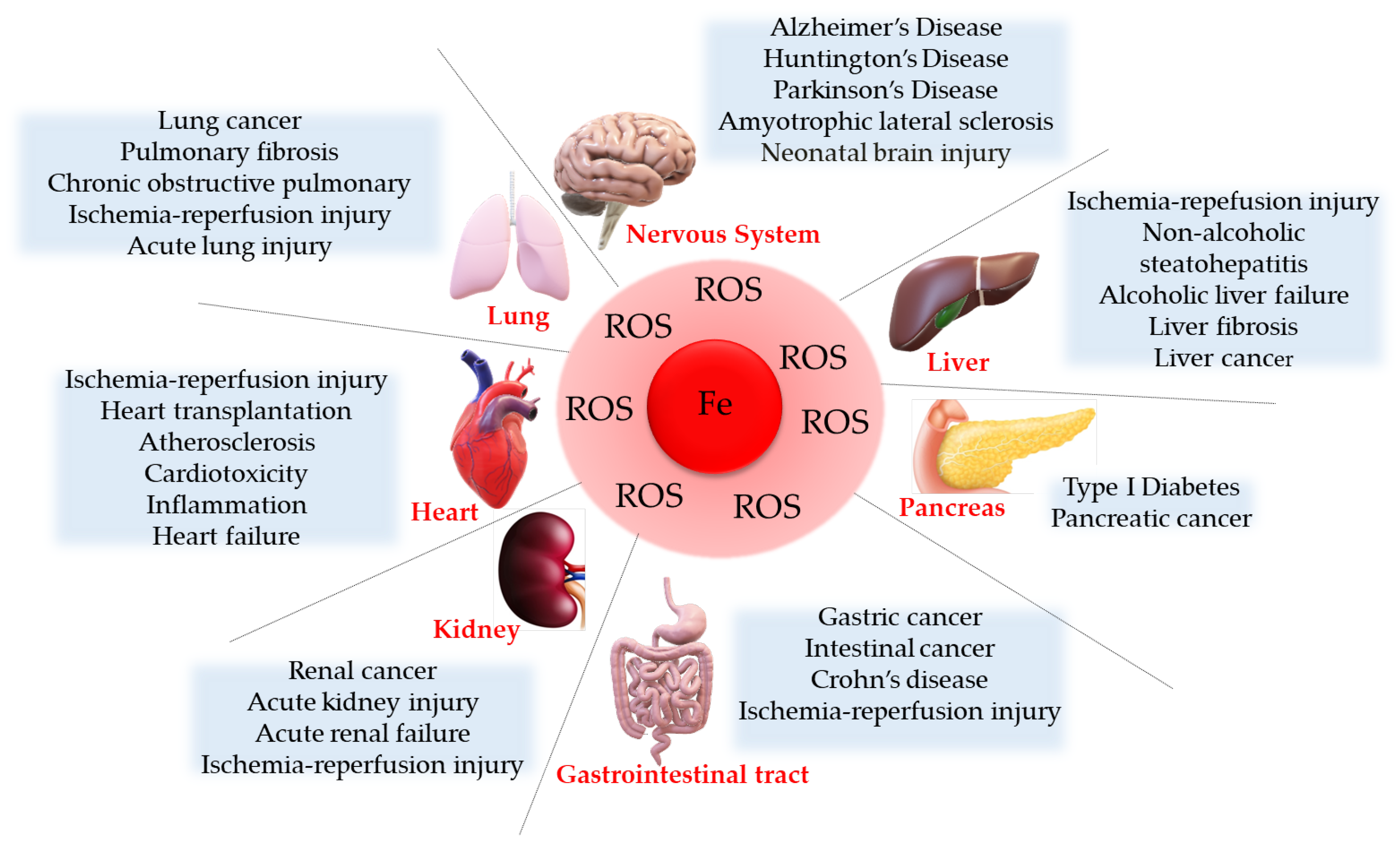 Ijms 24 17279 g002 Ijms 24 17279 g002