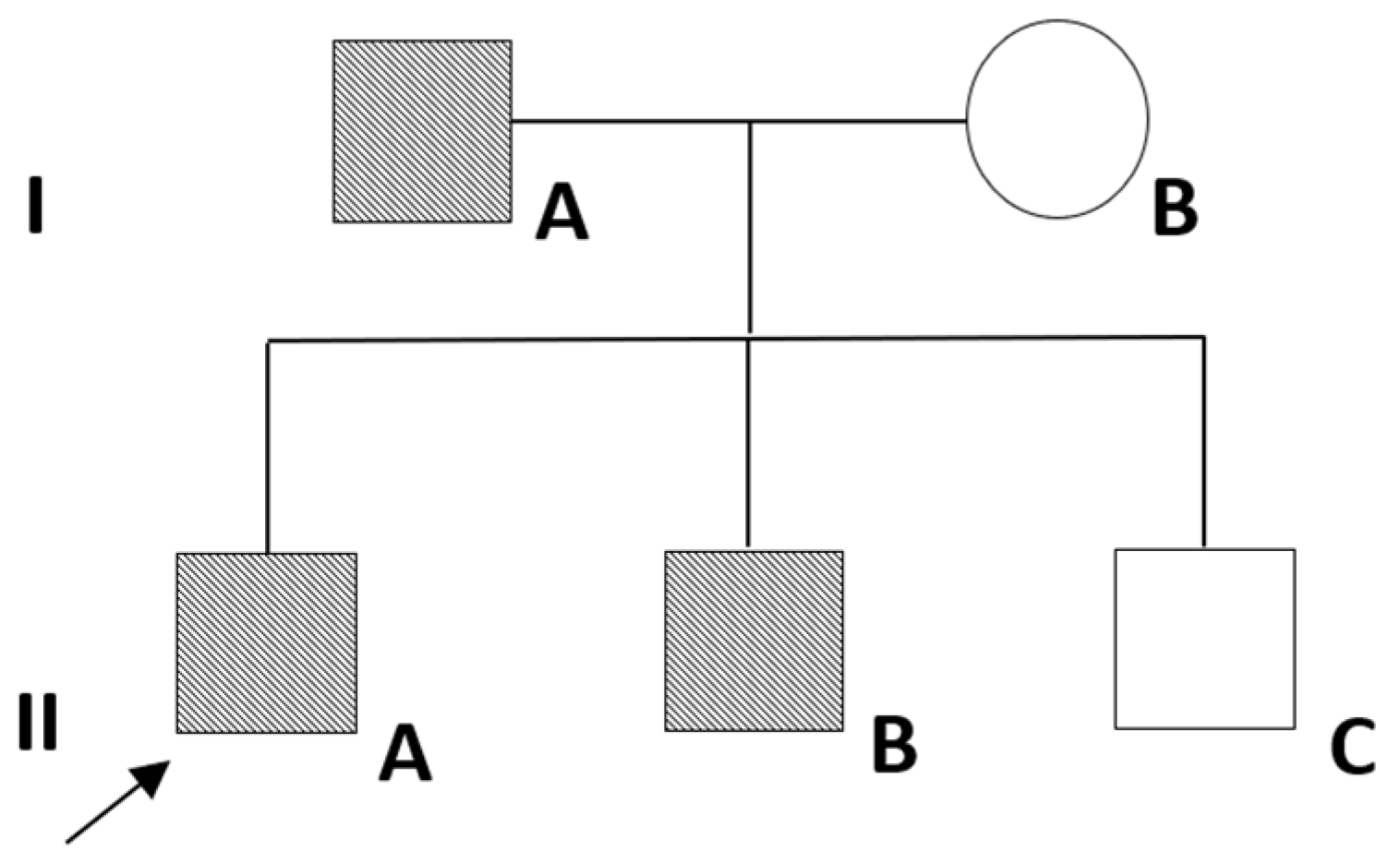 Ijms | free full-text | a novel heterozygous mutation c.1627g>t (p
