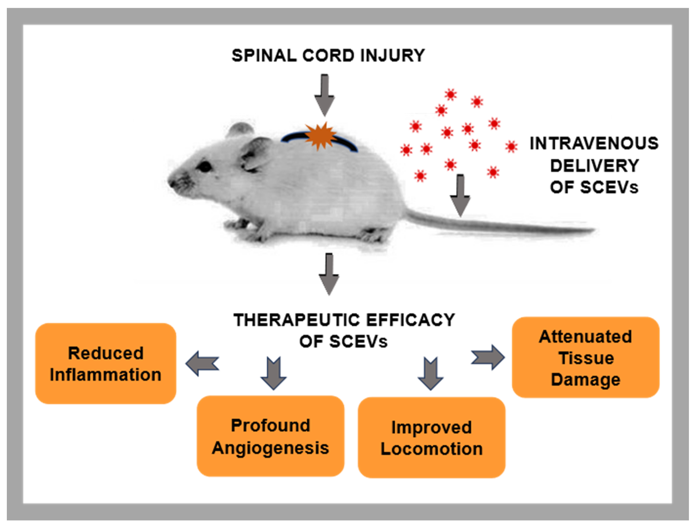 Ijms 24 17317 sch001
