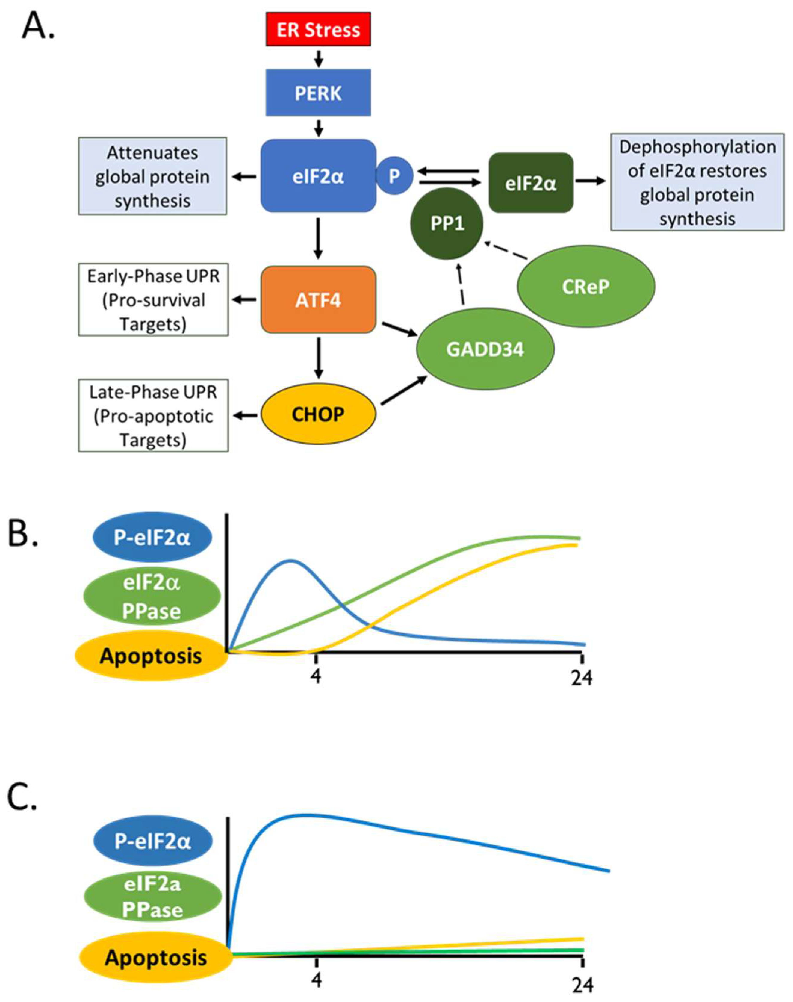 Ijms 24 17321 g003 Ijms 24 17321 g003