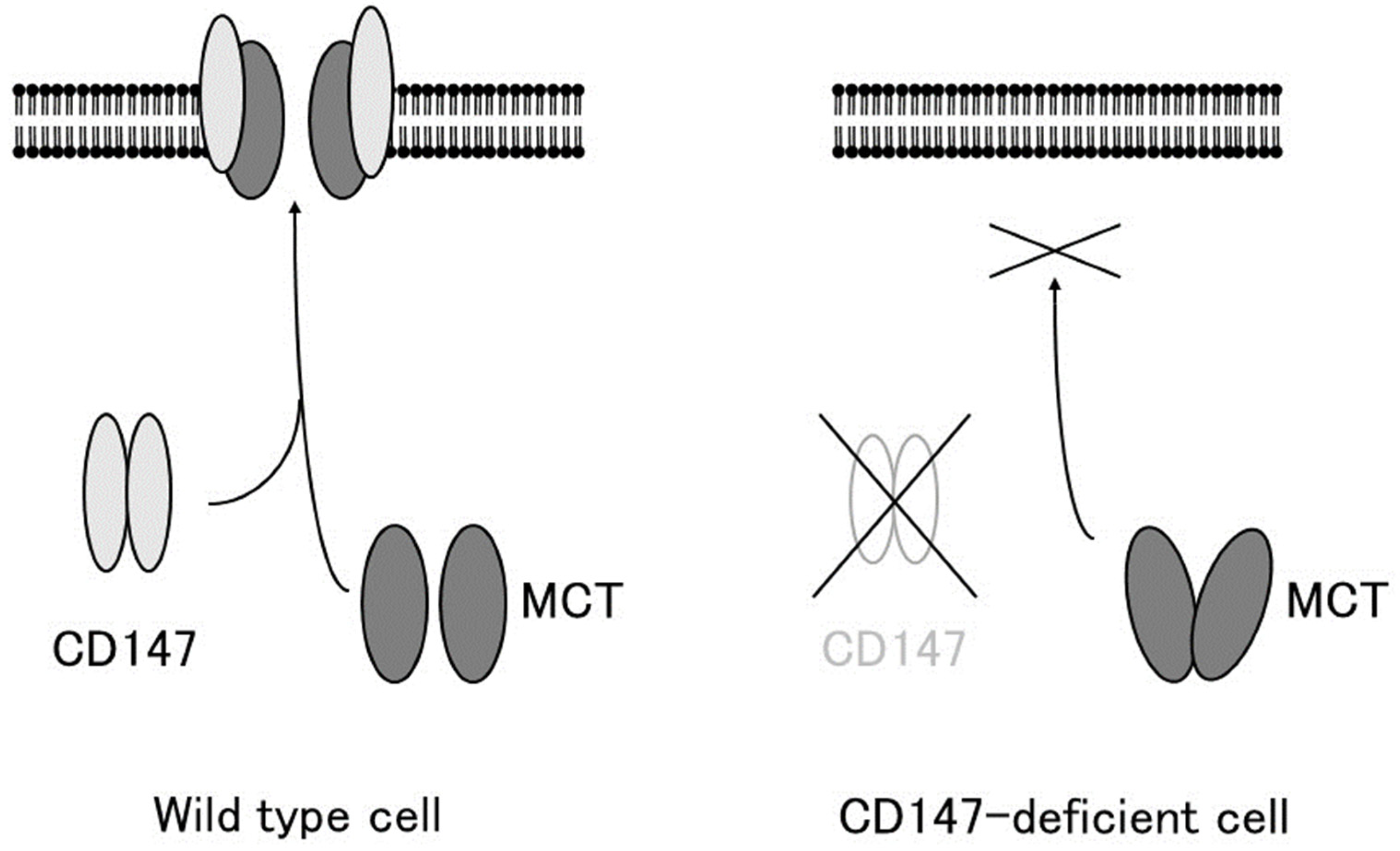 Dldss314