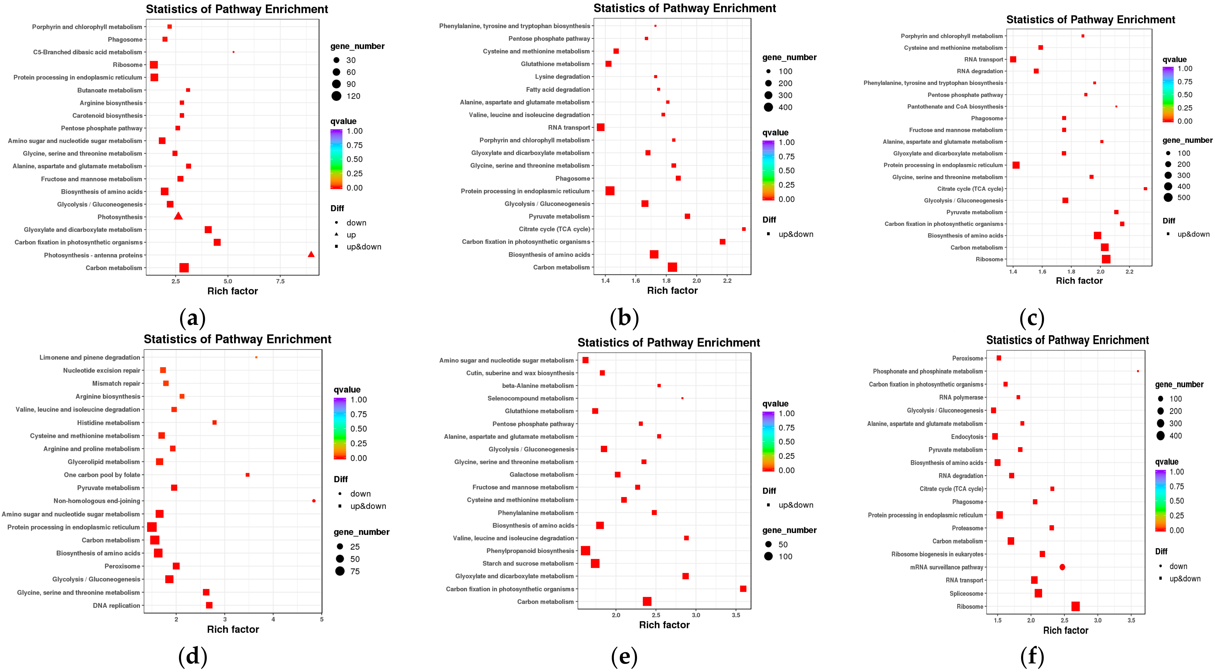 Ijms 24 17356 g003 Ijms 24 17356 g003