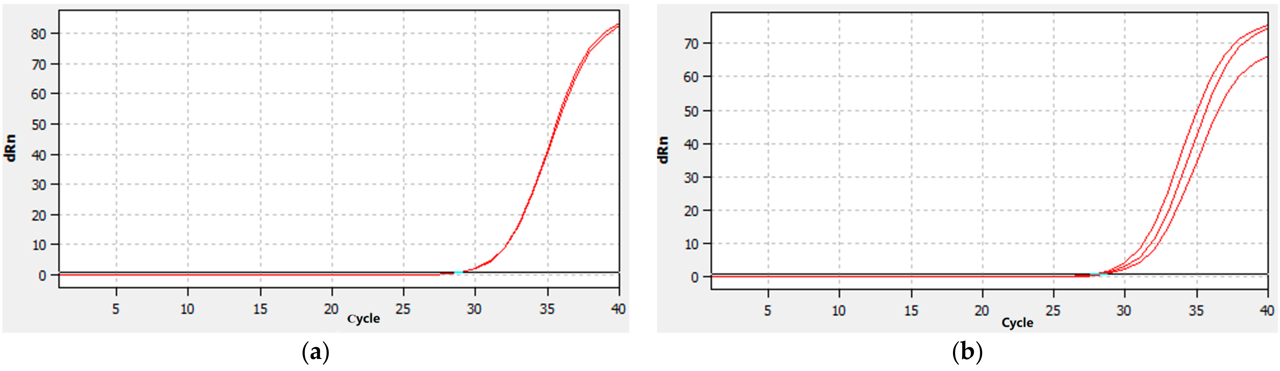Ijms 24 17356 g007 Ijms 24 17356 g007