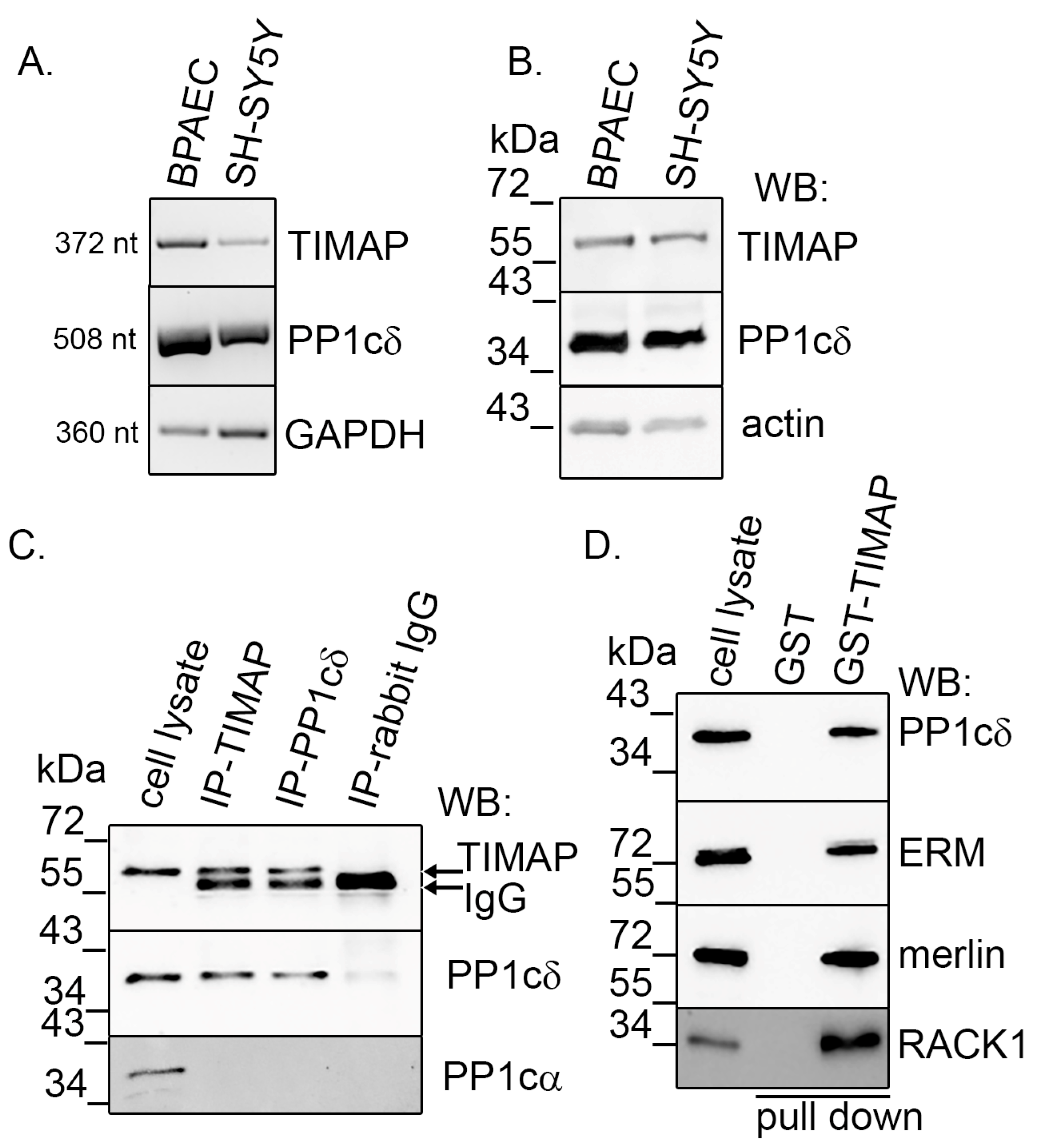 Ijms 24 17360 g001 Ijms 24 17360 g001