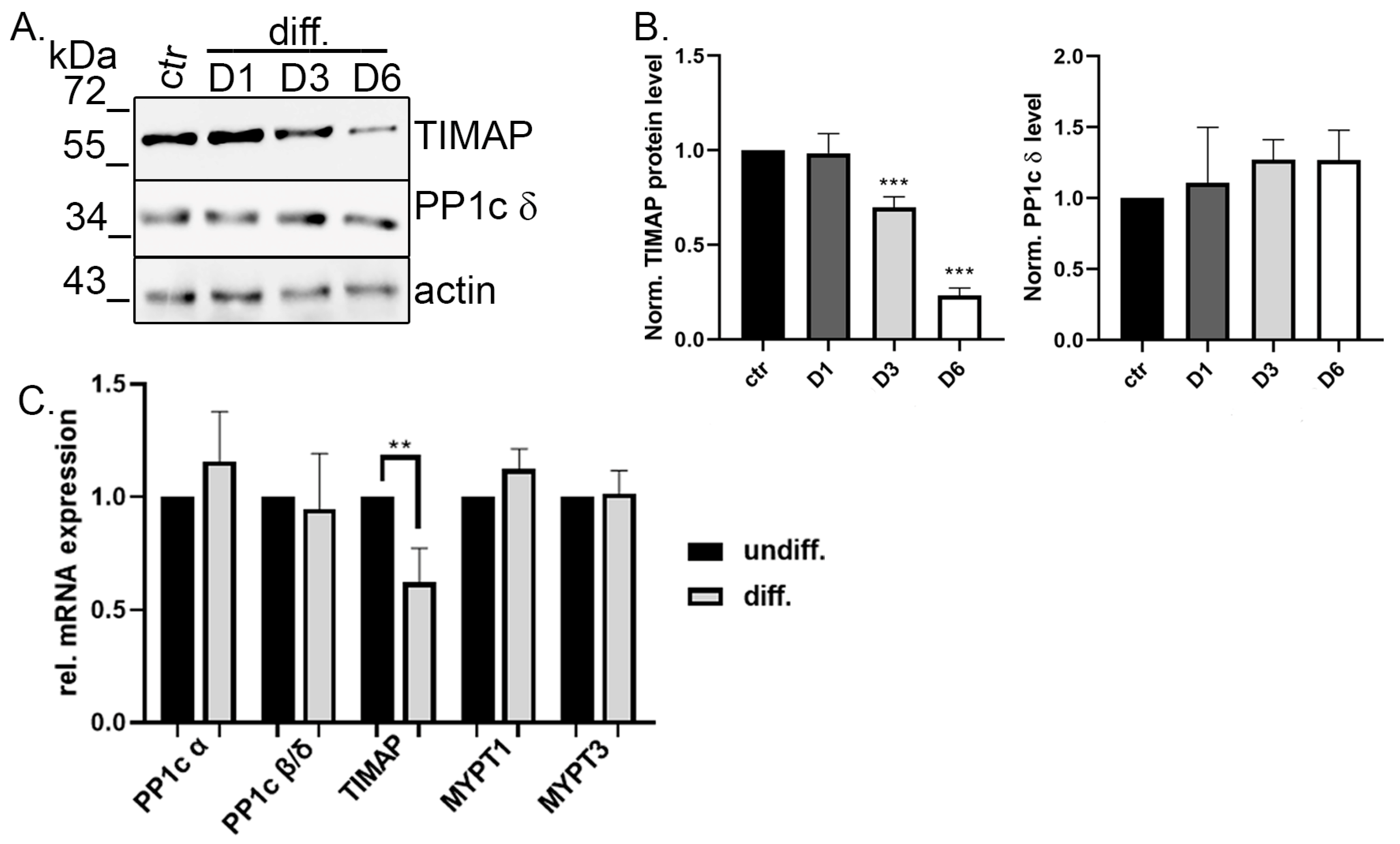 Ijms 24 17360 g003 Ijms 24 17360 g003