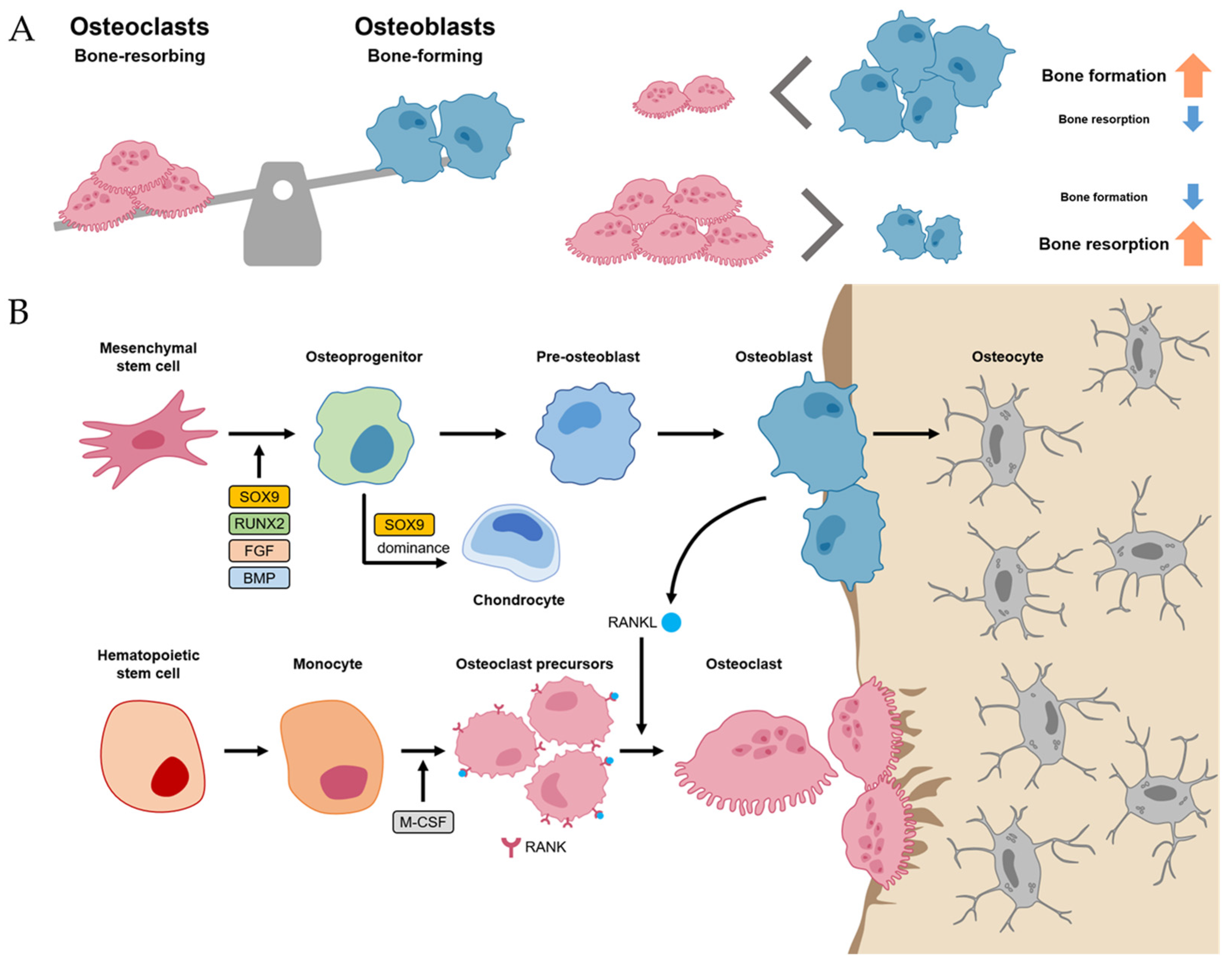 Ijms 24 17365 g001 Ijms 24 17365 g001