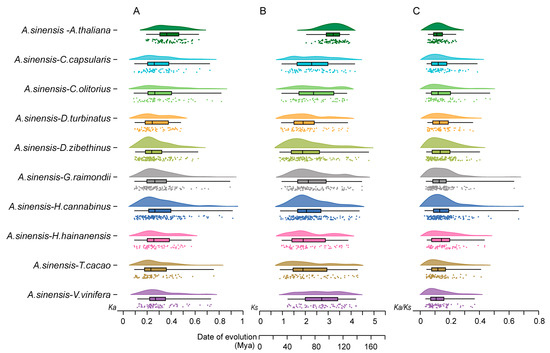Comprehensive Analysis of NAC Transcription Factors Reveals