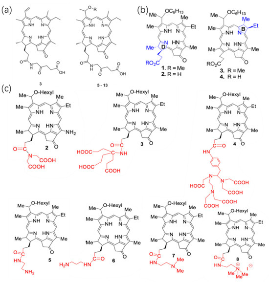 Recent Advances in the HPPH-Based Third-Generation Photodynamic