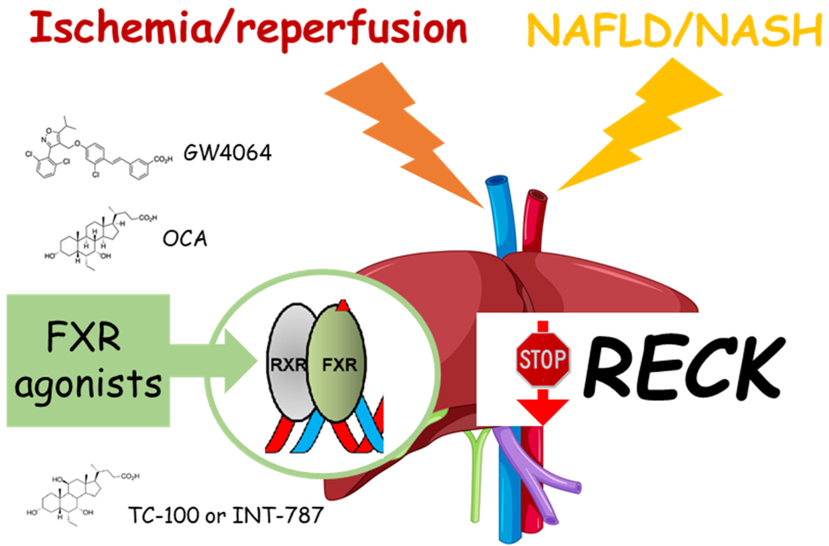 Recent Updates on the Therapeutic Prospects of Reversion