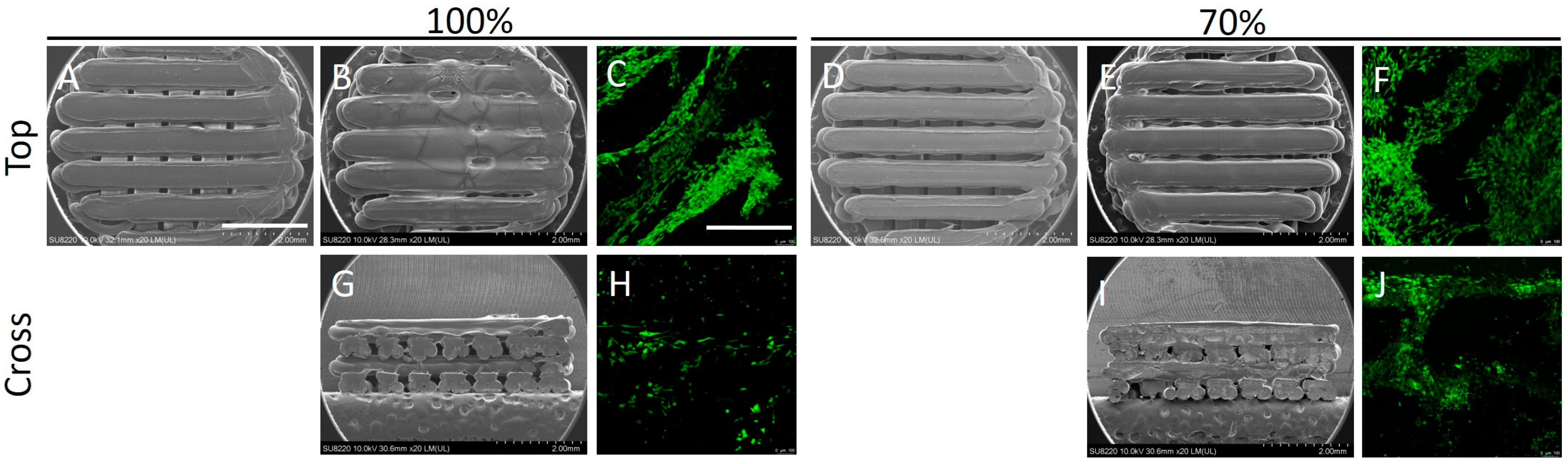 Ijms 24 17410 g002