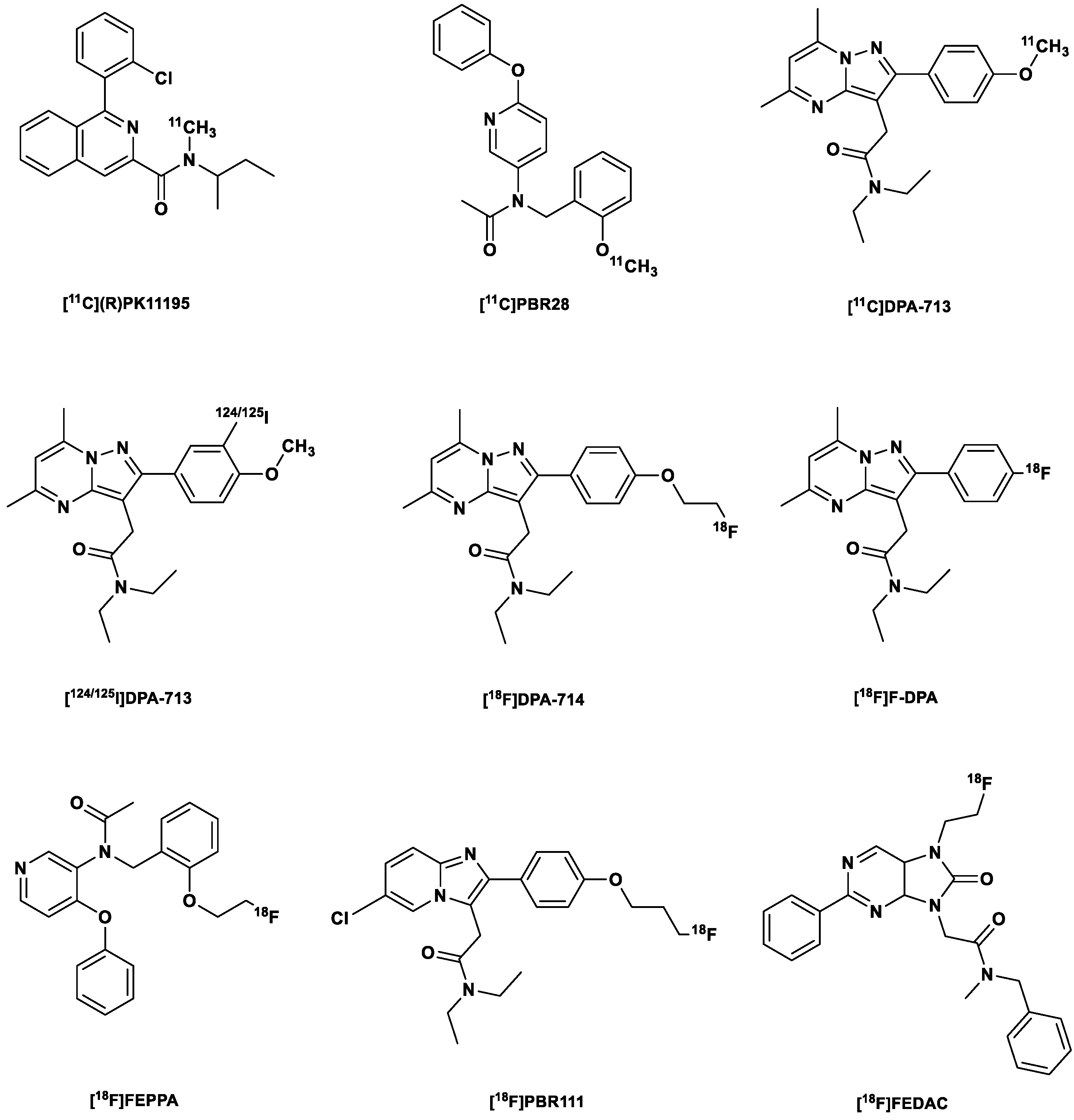 Ijms 24 17419 g001 Ijms 24 17419 g001