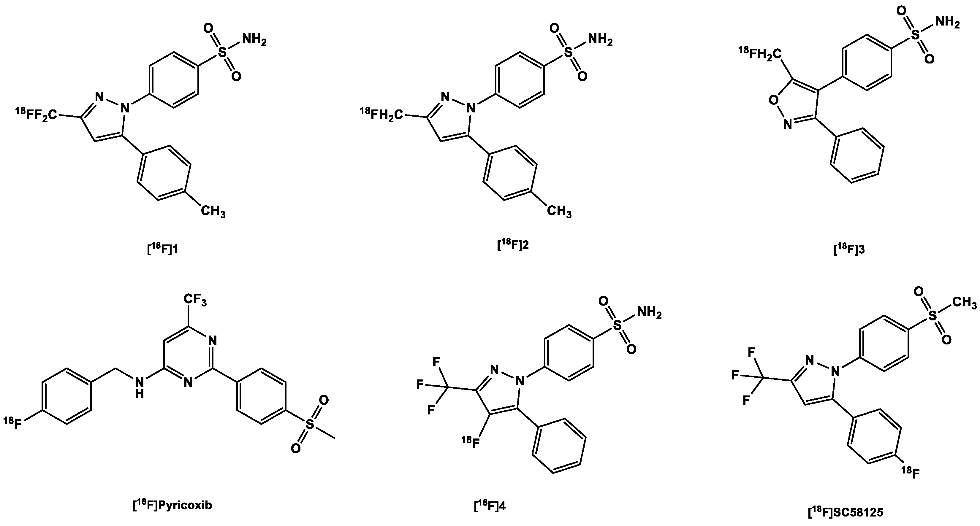 Ijms 24 17419 g004 Ijms 24 17419 g004