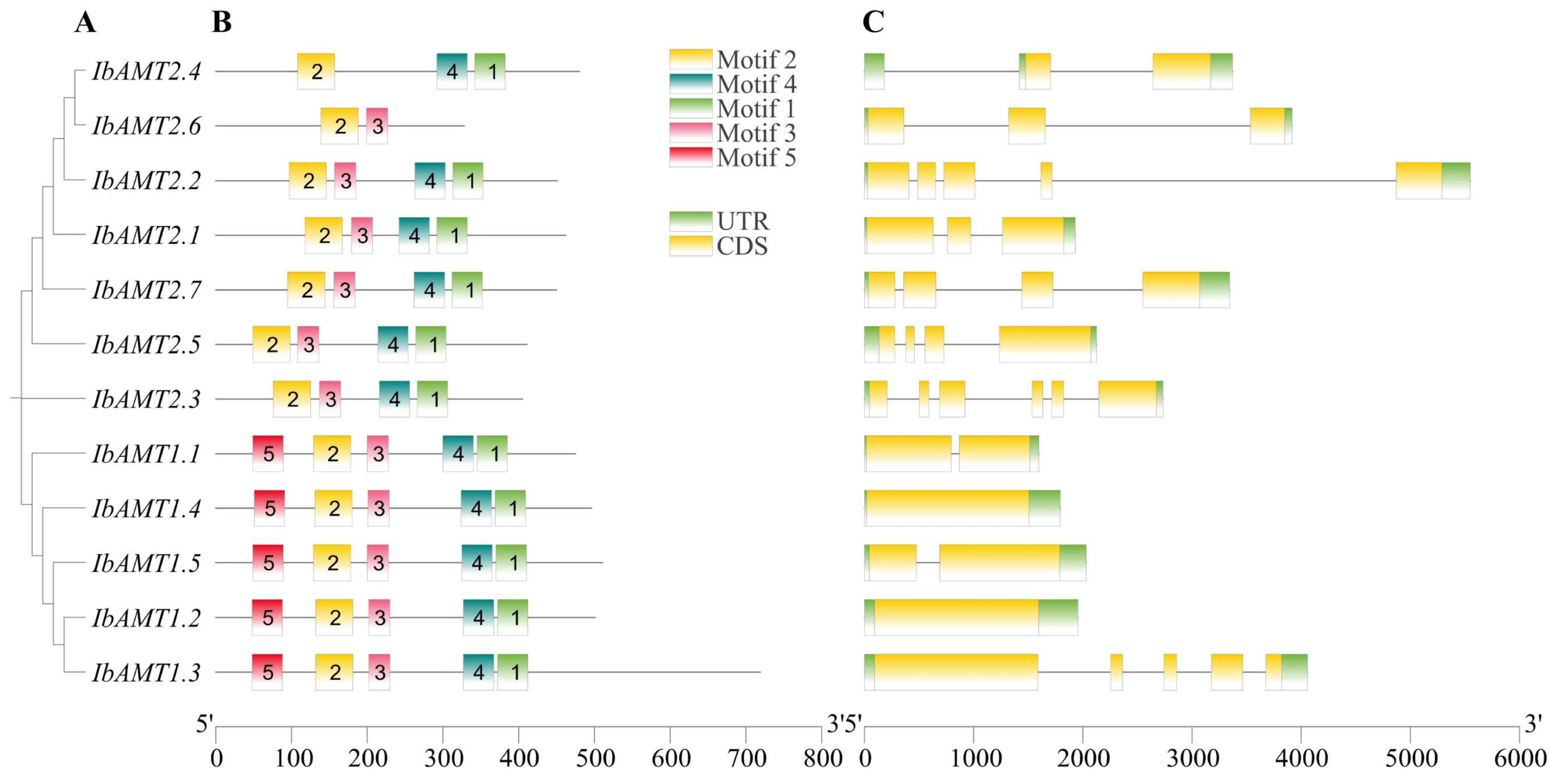 Ijms 24 17424 g005 Ijms 24 17424 g005
