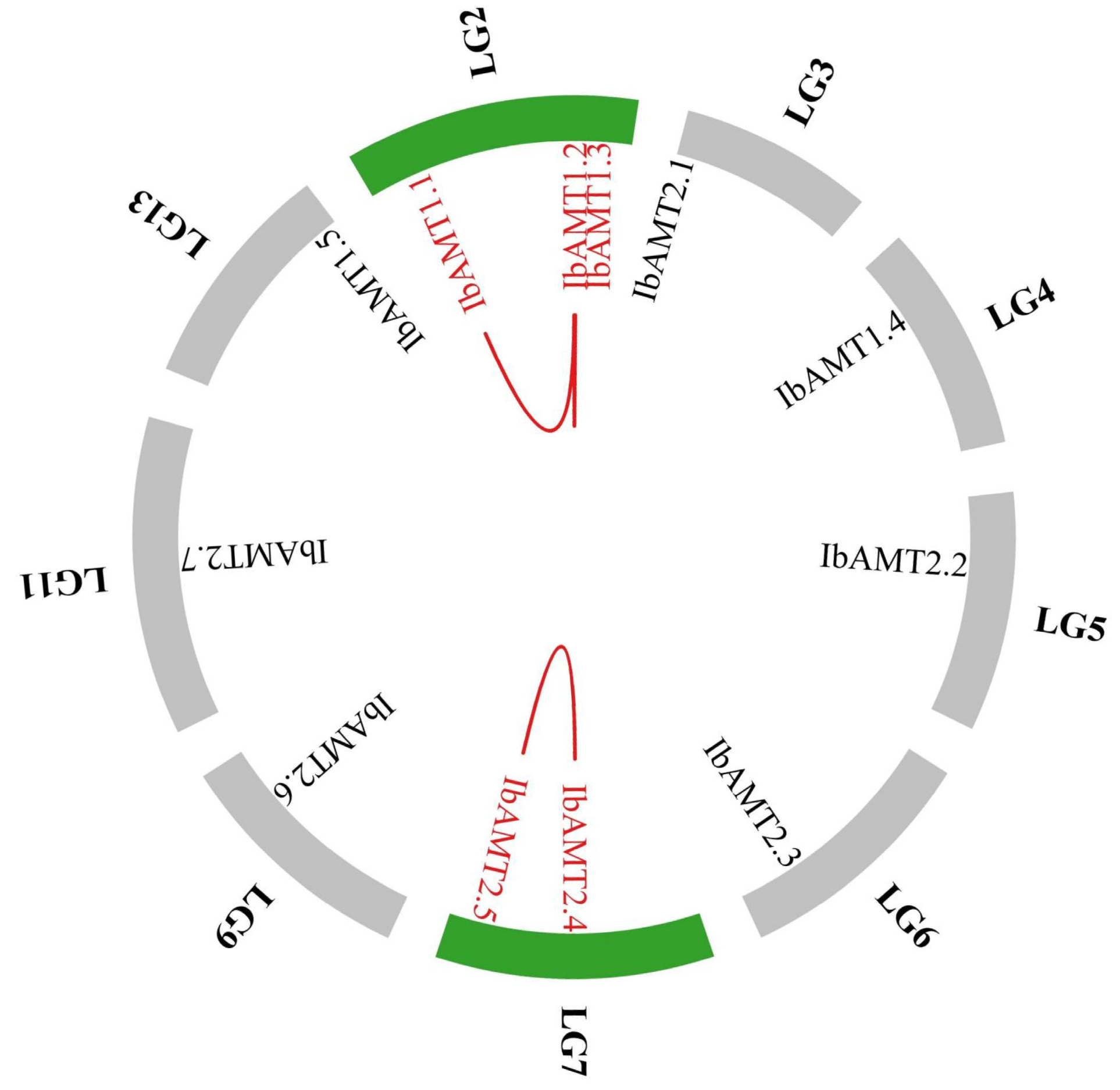 Ijms 24 17424 g006 Ijms 24 17424 g006