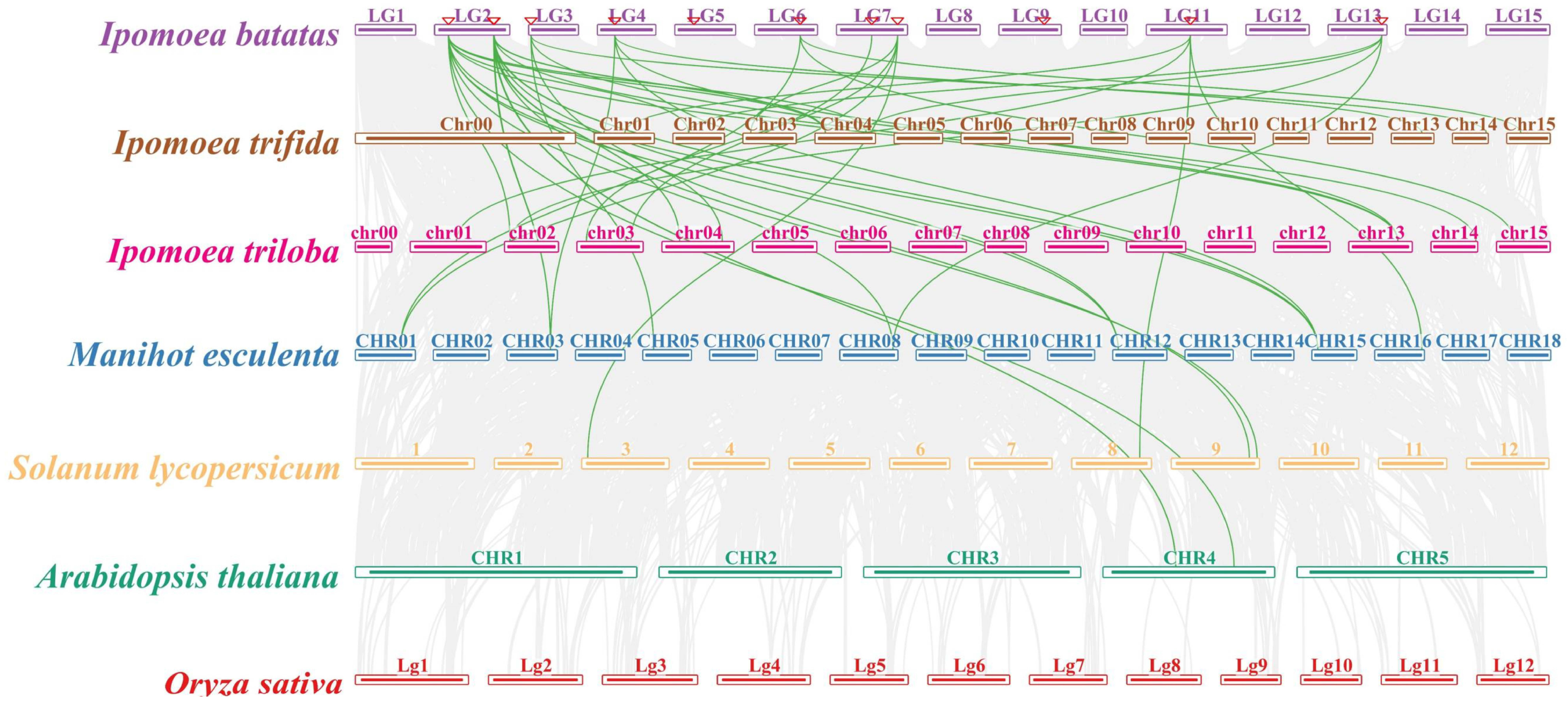 Ijms 24 17424 g007 Ijms 24 17424 g007