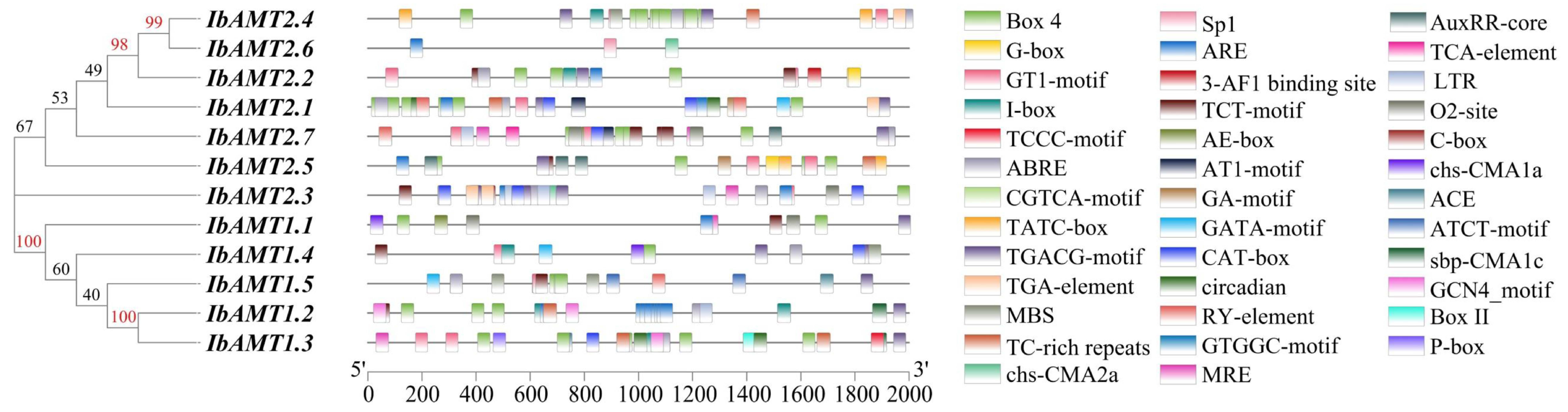Ijms 24 17424 g008 Ijms 24 17424 g008