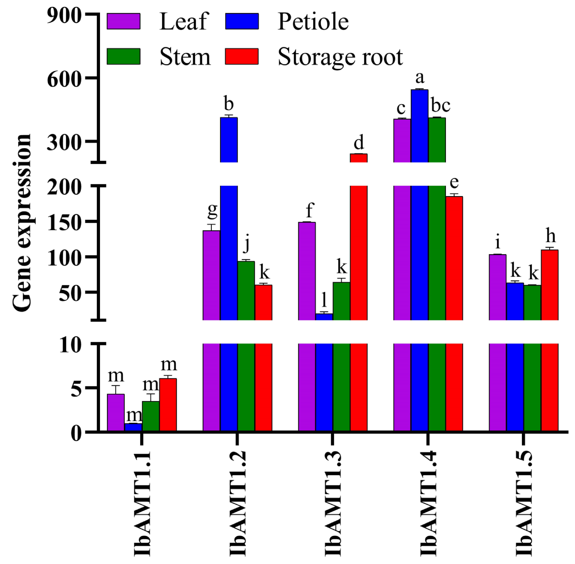 Ijms 24 17424 g009 Ijms 24 17424 g009